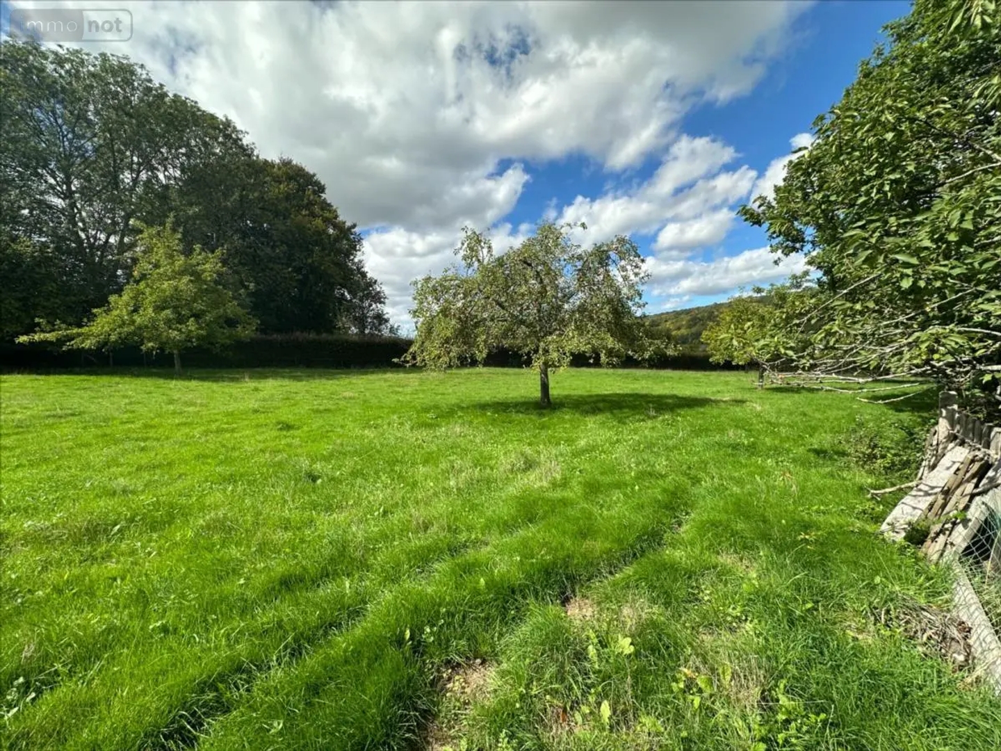 Terrain à vendre - 2300m2 - Freulleville (76510)