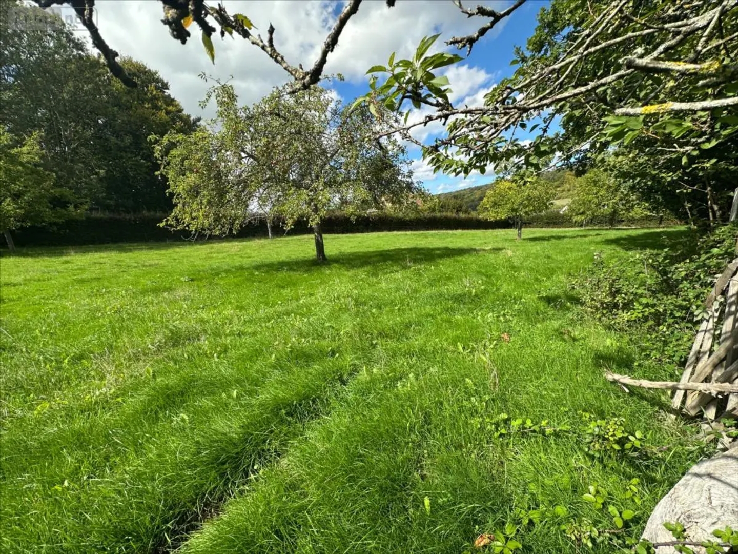 Terrain à vendre - 2300m2 - Freulleville (76510)