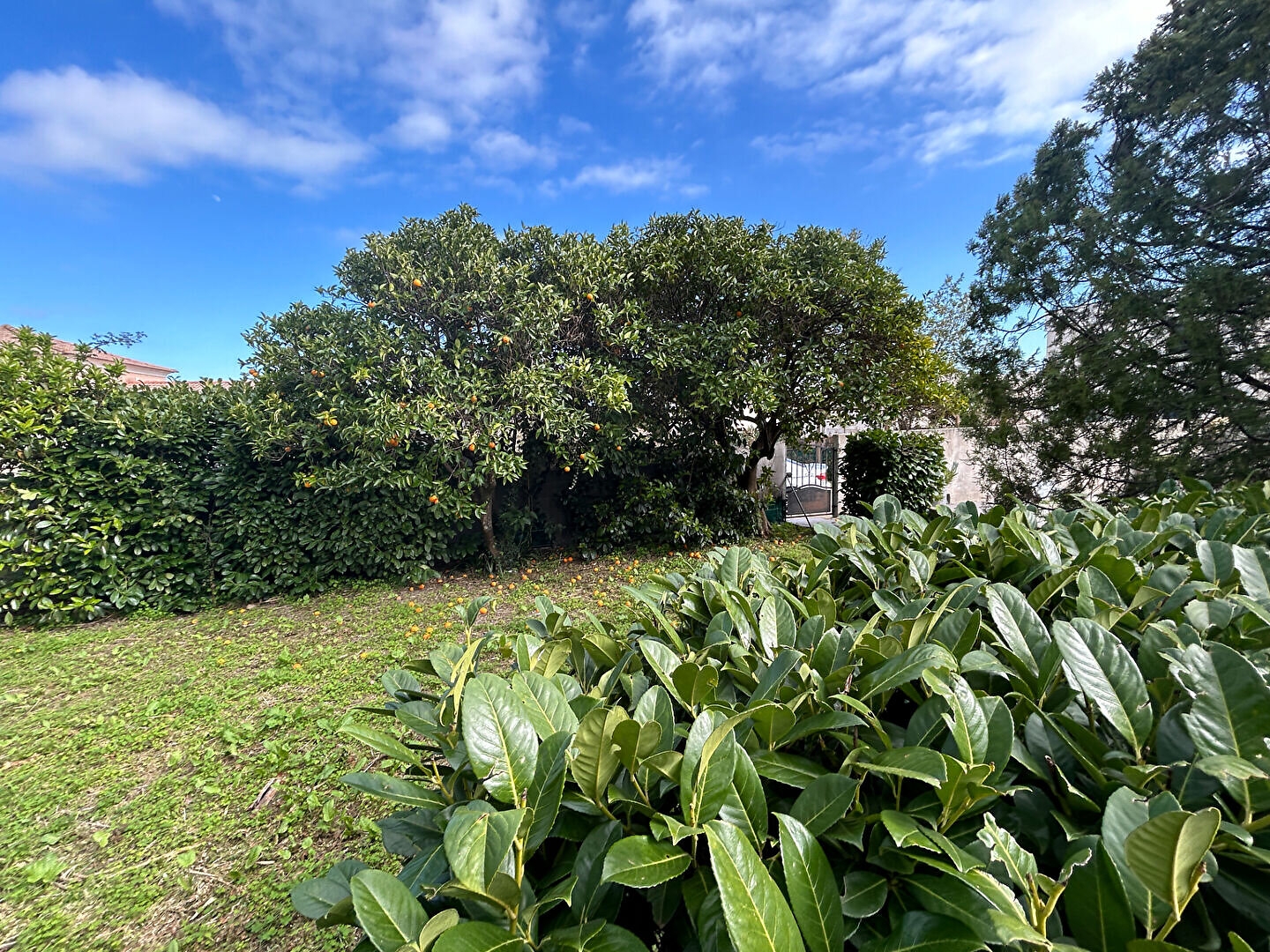 Maison 9 pièces 210 m²