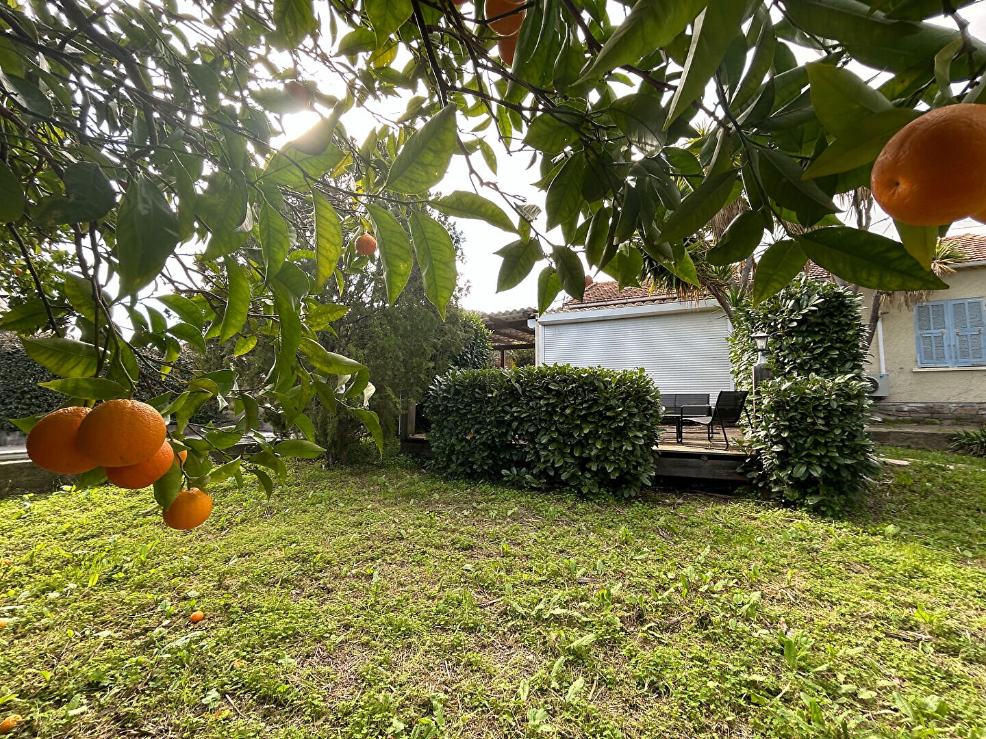 Maison à vendre - 9 pièces - 210m2 - Borgo (20290)