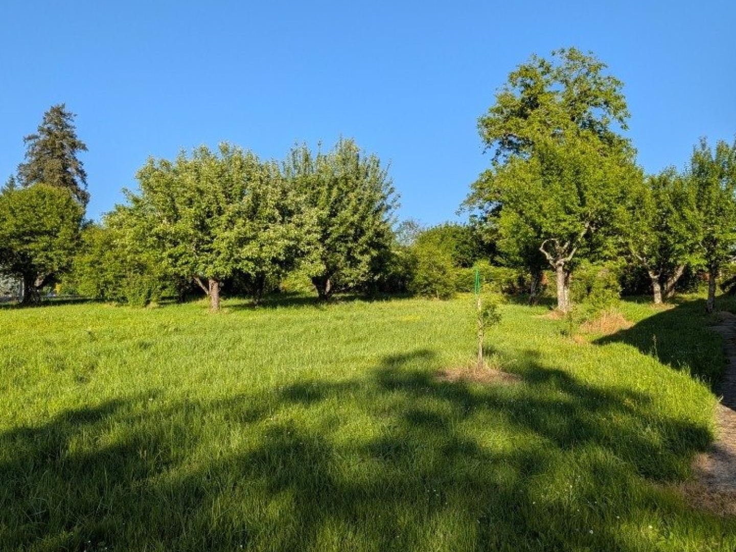Maison familiale de 166 m² sur un terrain de 3 060 m² - 6 chambres - Fort potentiel à VILLERS FARLAY (JURA)