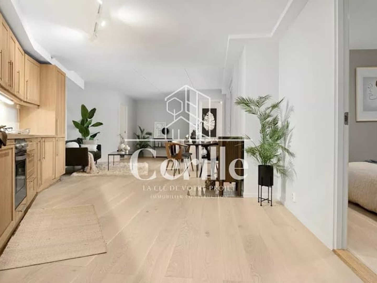 Appartement 2 pièces 52 m²
