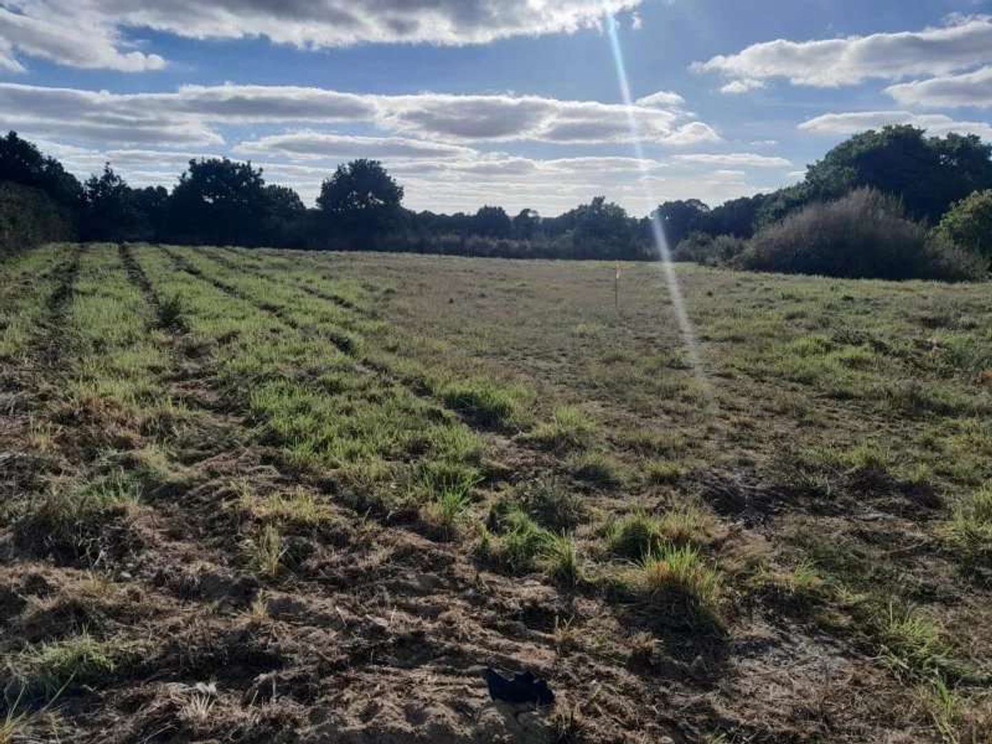 Terrain 2672 m²