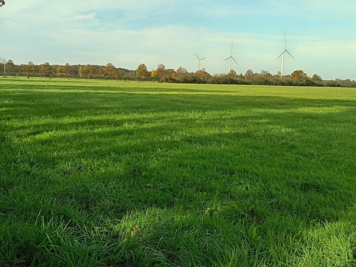 Exploitation Agricole