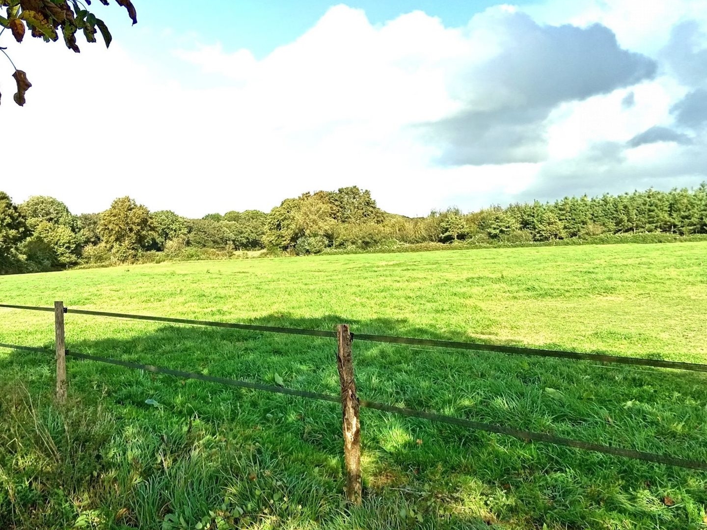 Terrain à vendre - 20000m2 - Riaillé (44440)