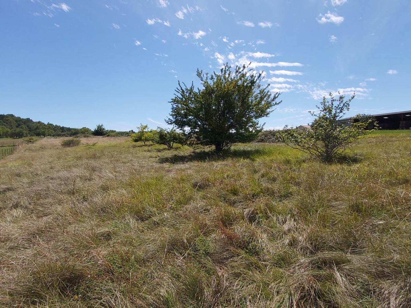 Terrain à bâtir