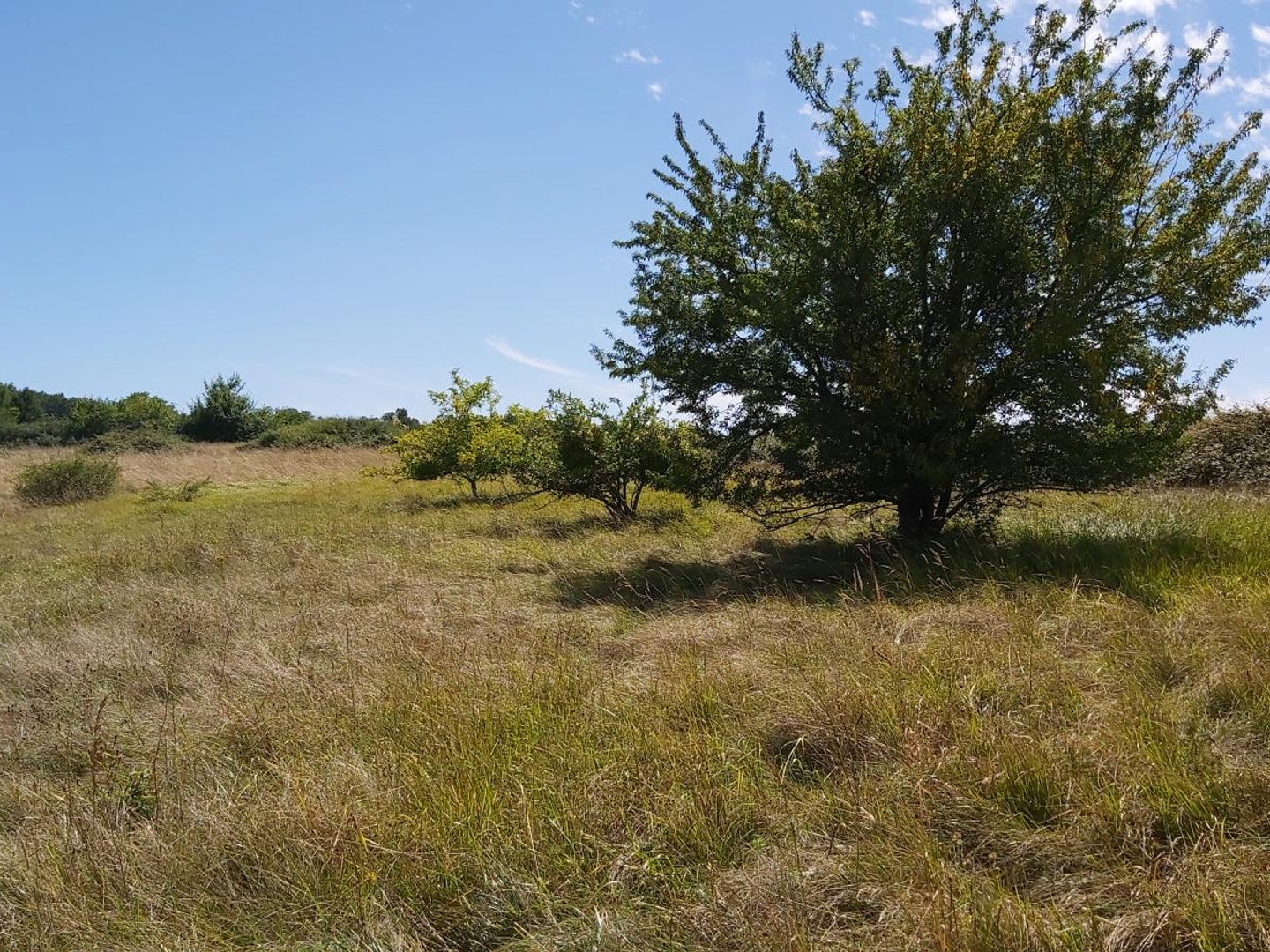 Terrain à vendre - 1700m2 - Lussas-Et-Nontron... (24300)