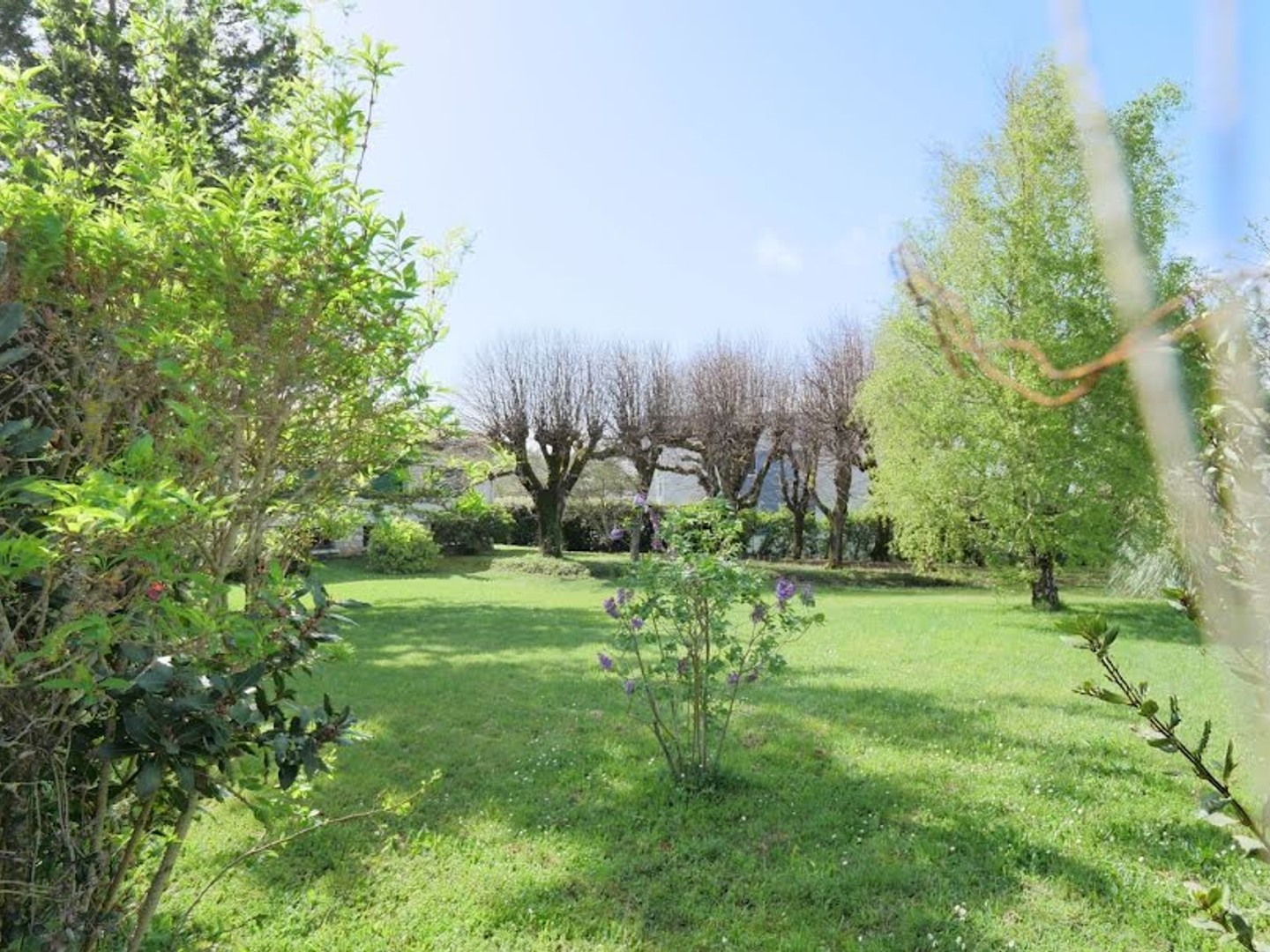 Terrain 650 m²
