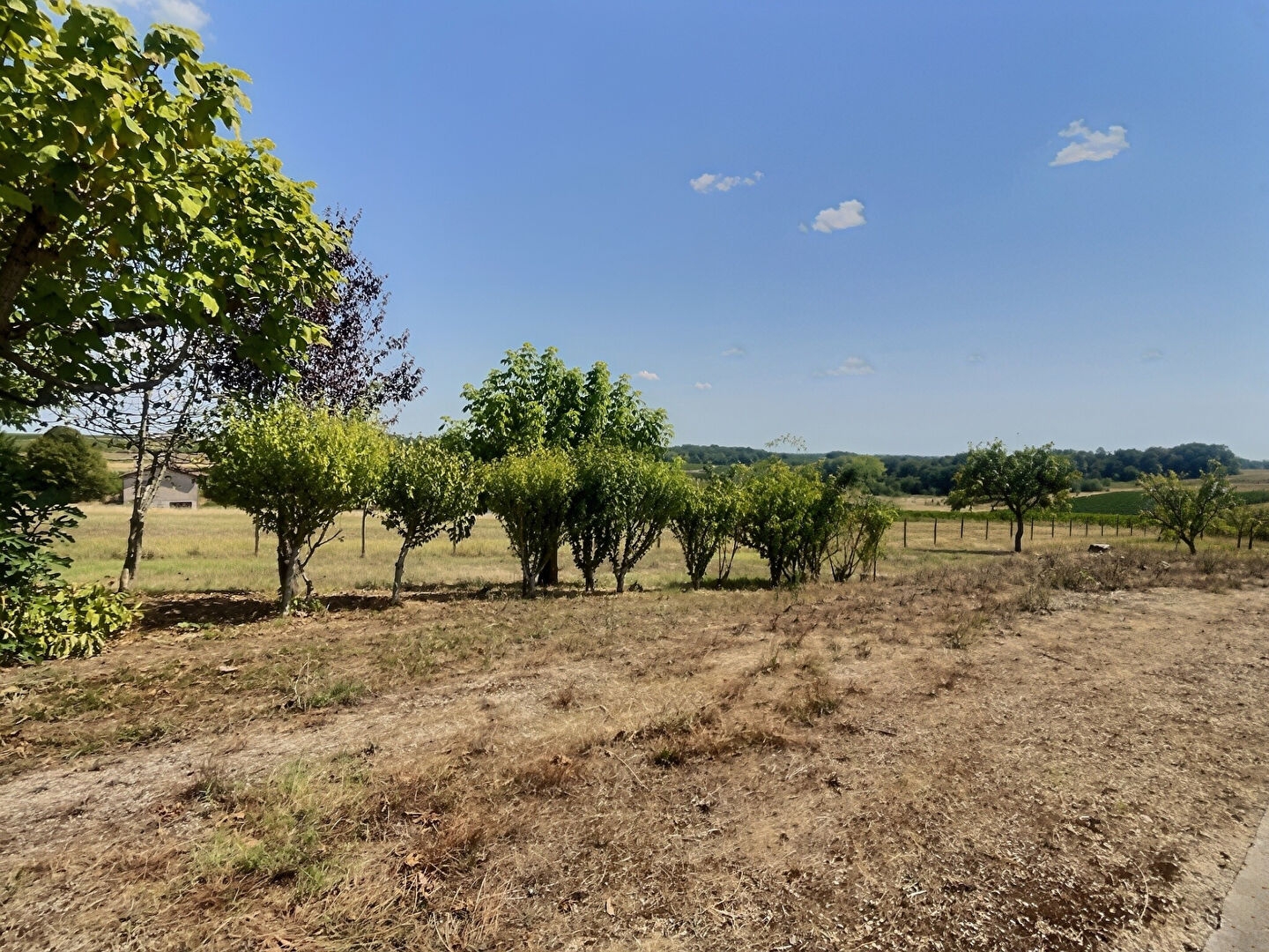 Maison à vendre - 4 pièces - 93m2 - Pellegrue (33790)