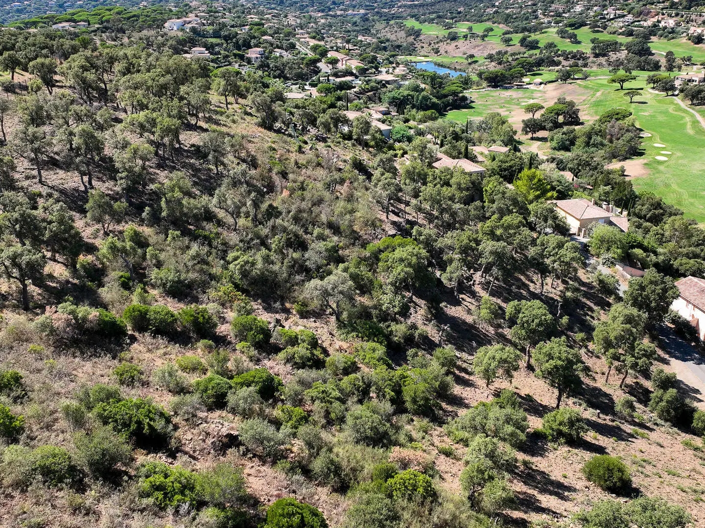 Terrain 1434 m²