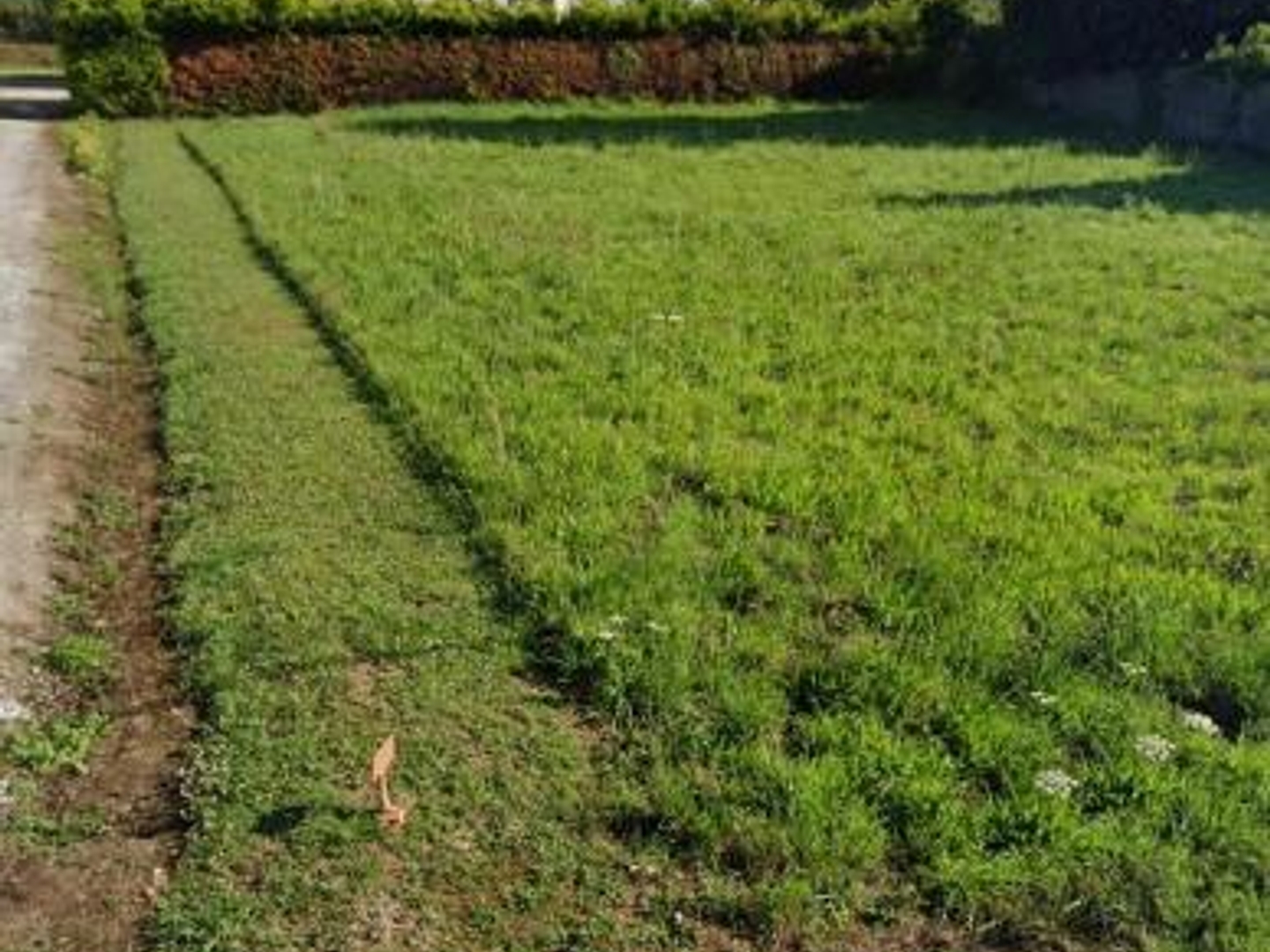 Terrain 786 m²