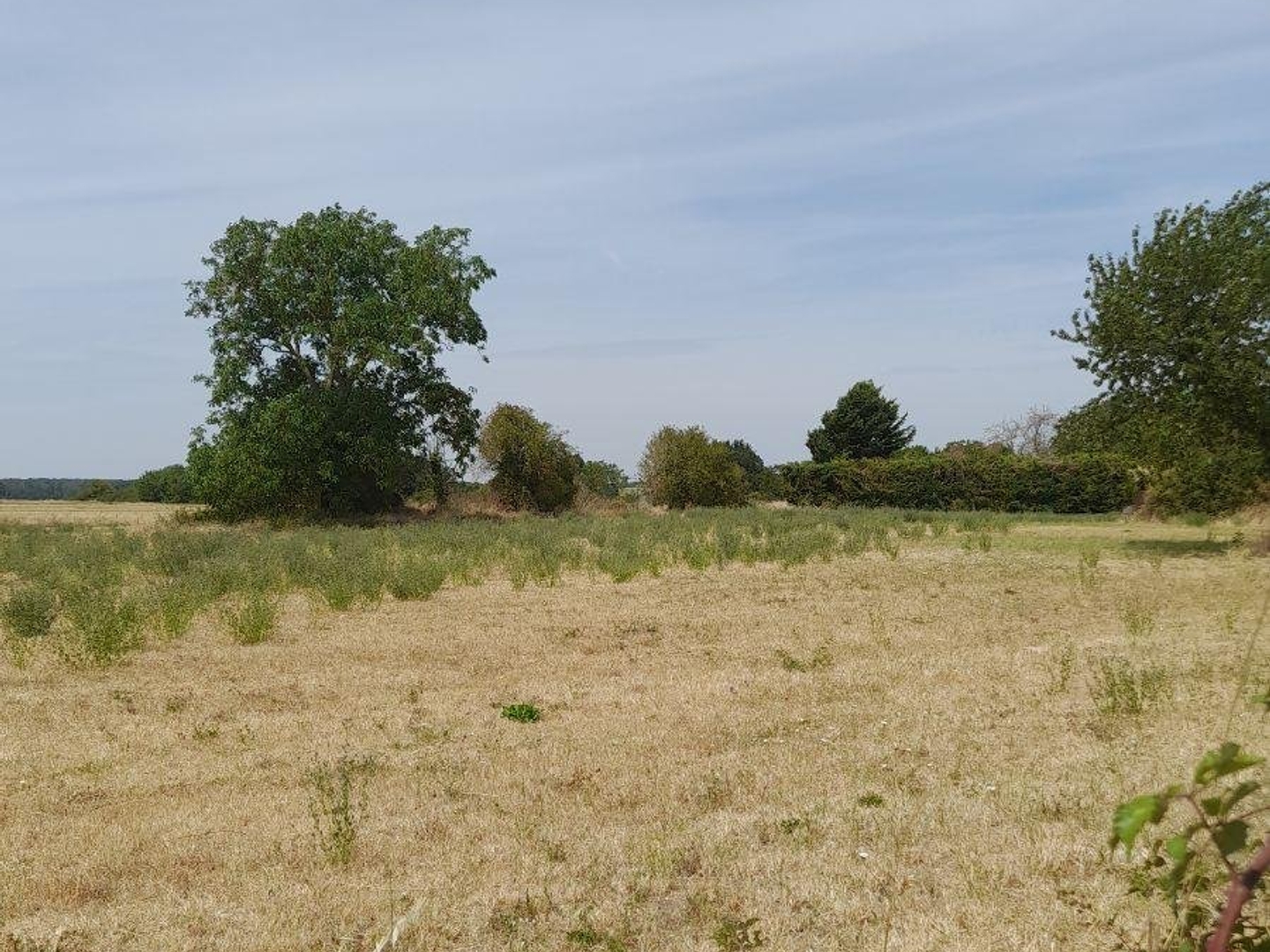 Terrain à bâtir 3372 m²