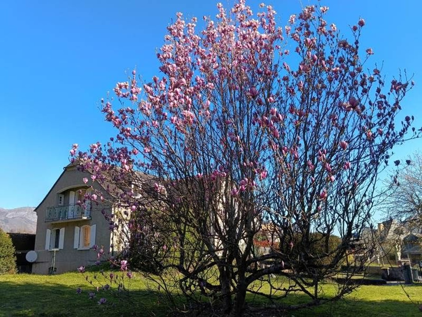 Maison à vendre - 8 pièces - 183m2 - Luz-Saint-Sauveur (65120)