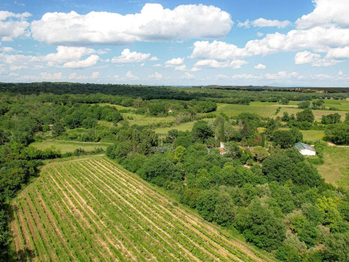 Propriété 9 pièces 270 m²