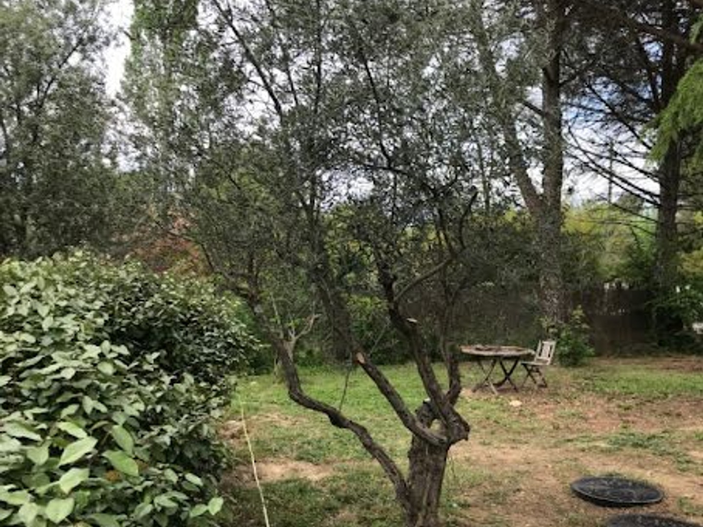 Terrain 208 m²