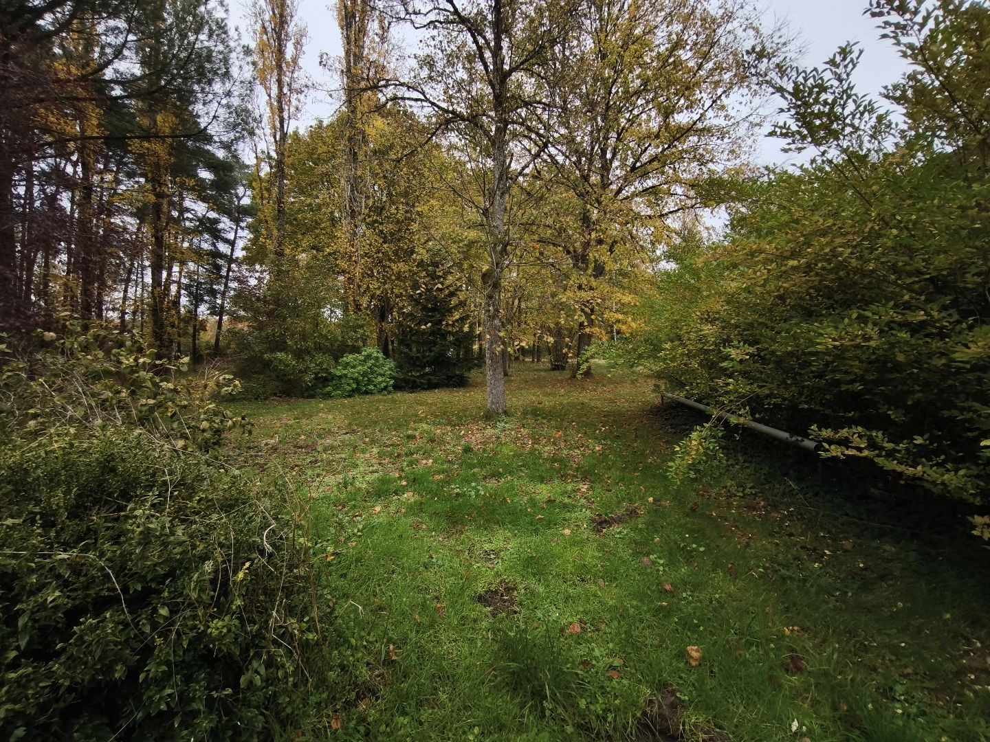 Autre à vendre - 7 pièces - 243m2 - Villefranche-Sur-... (41200)