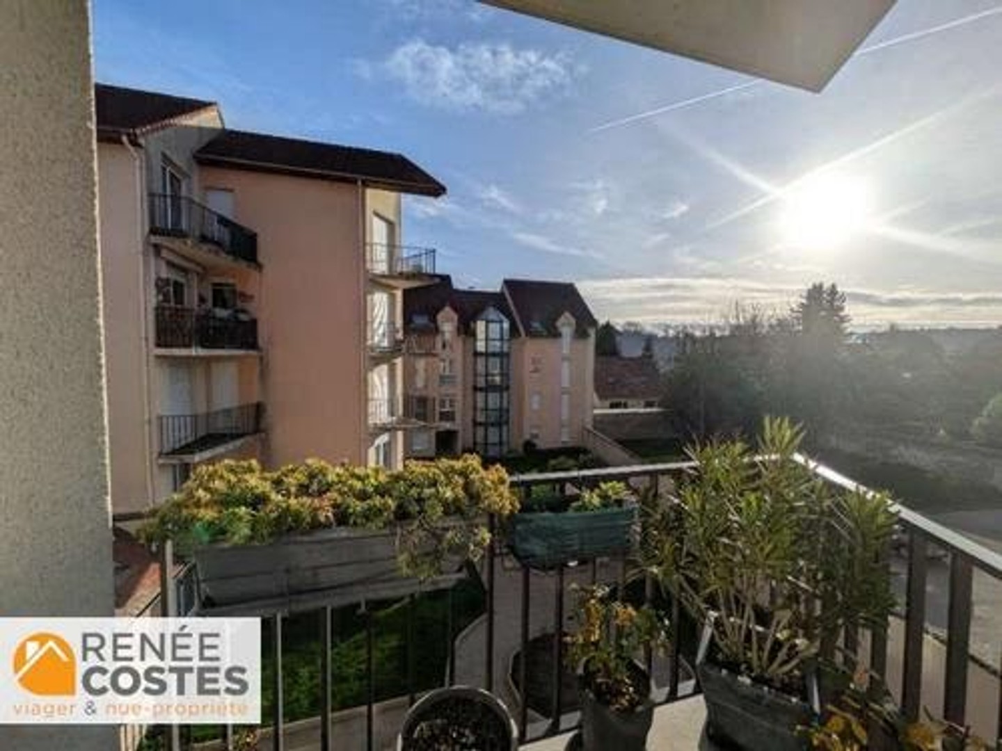 Viager 1 pièce 31 m²