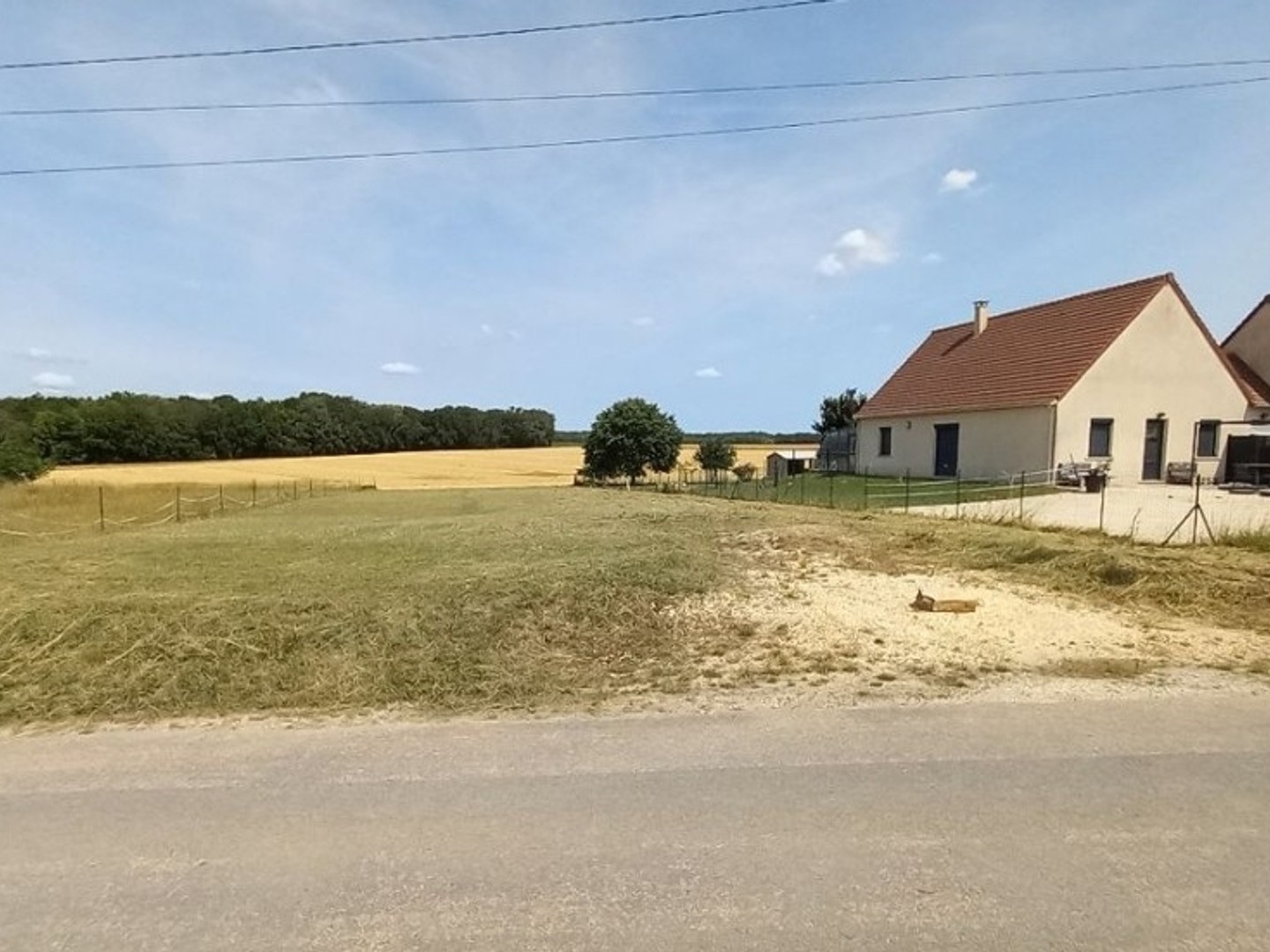 Terrain 1249 m²