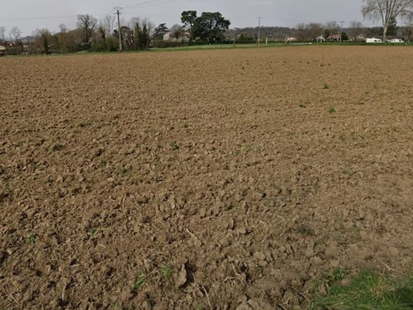 Terrain 1207 m²