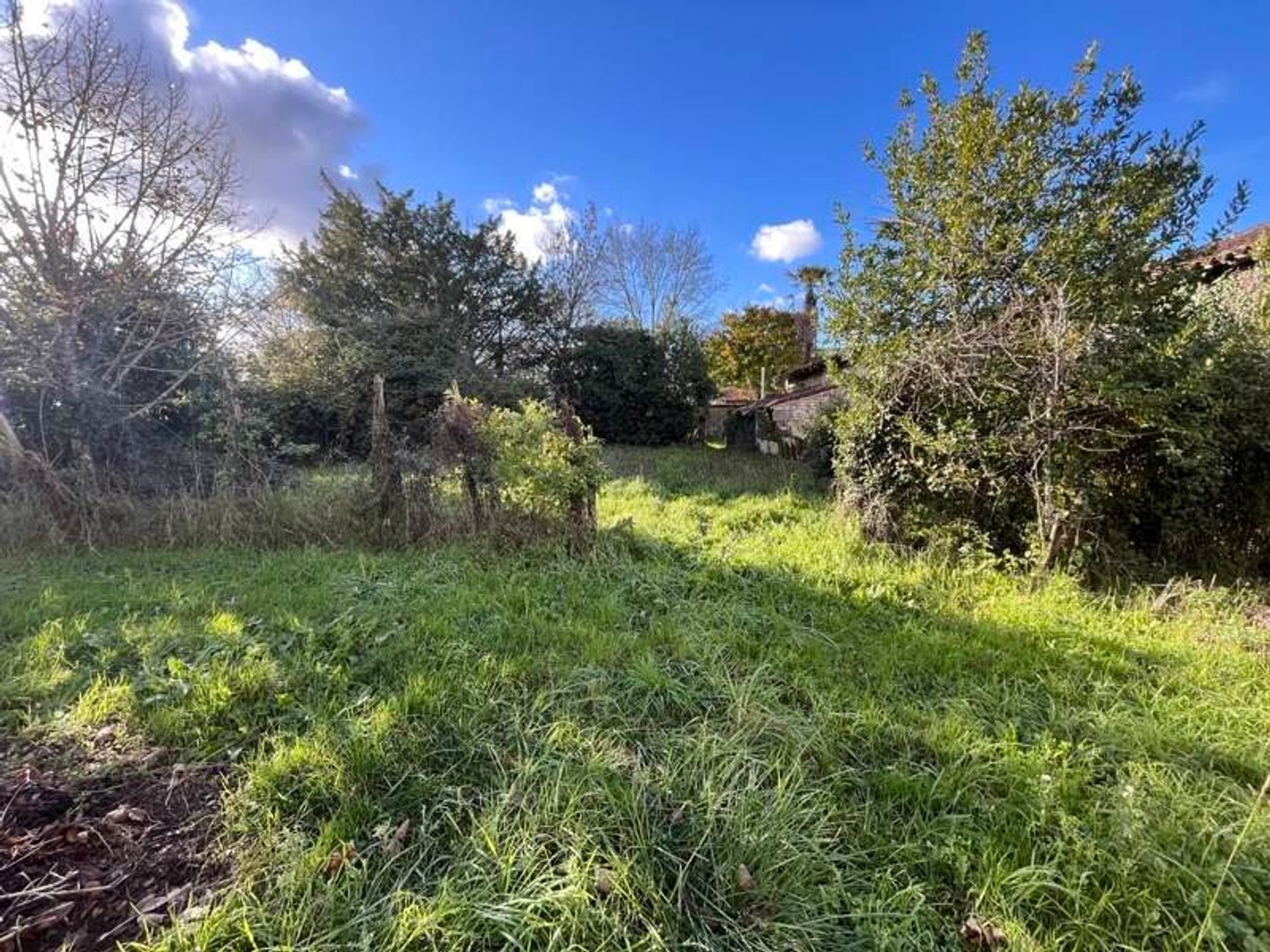 Maison 3 pièces 292 m²