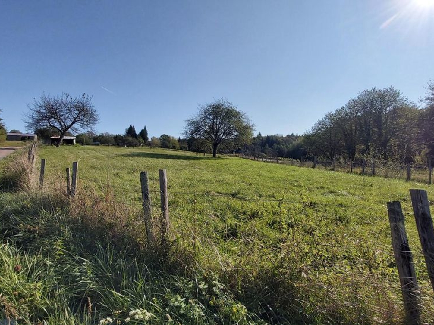 Terrain à vendre - 6529m2 - Augignac (24300)
