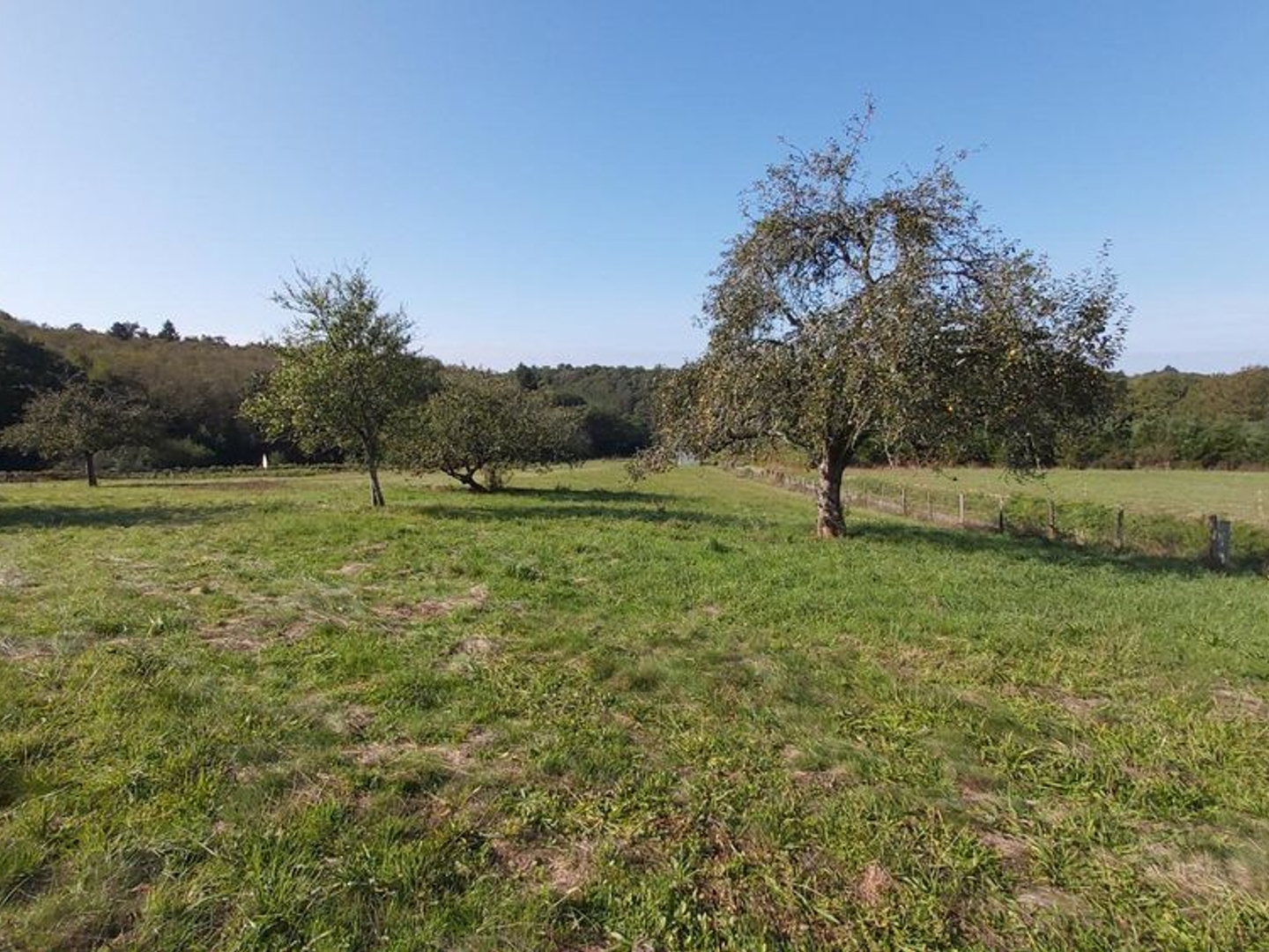 Terrain à vendre - 6529m2 - Augignac (24300)