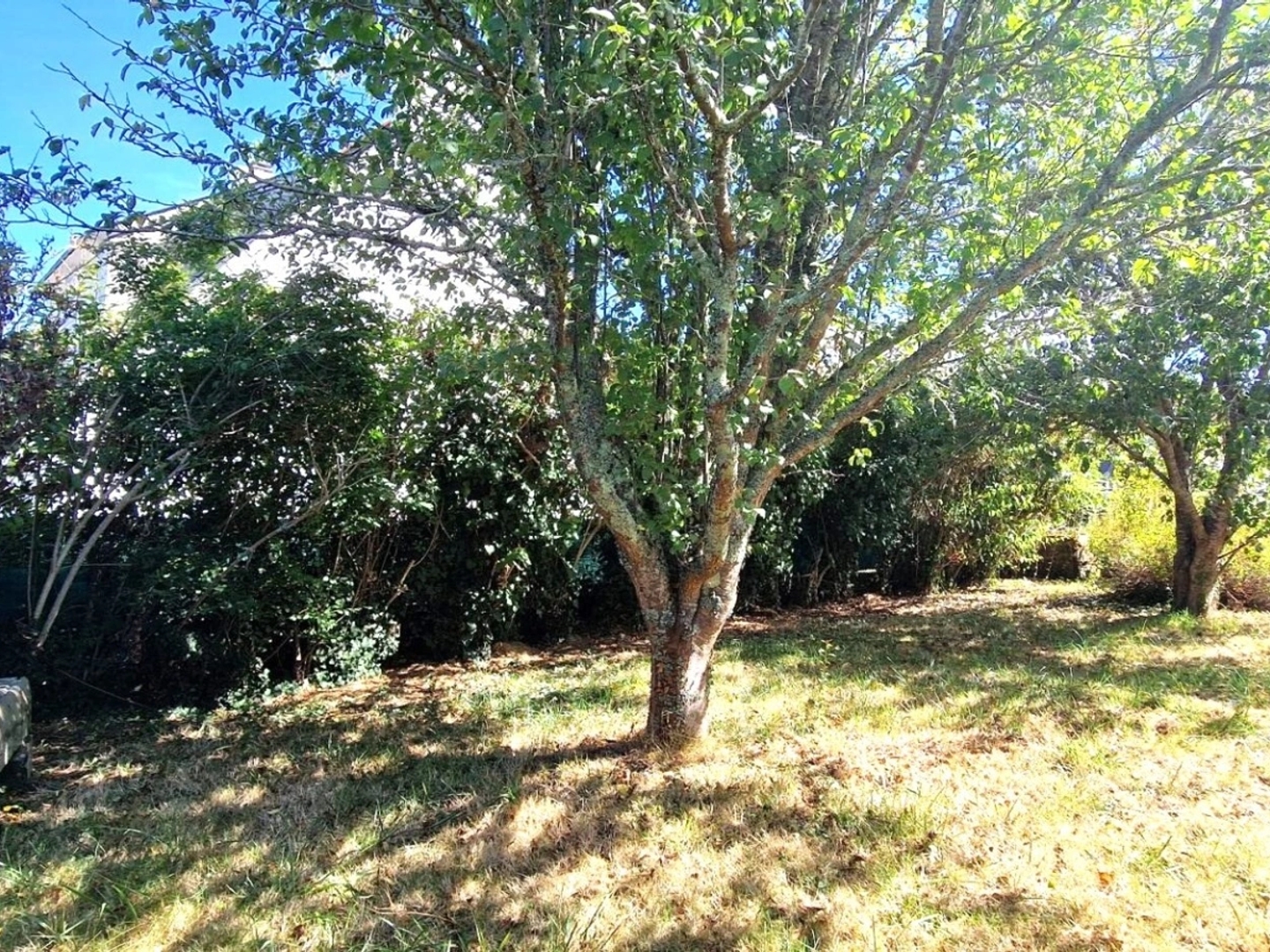 Maison à vendre - 6 pièces - 109m2 - Douarnenez (29100)