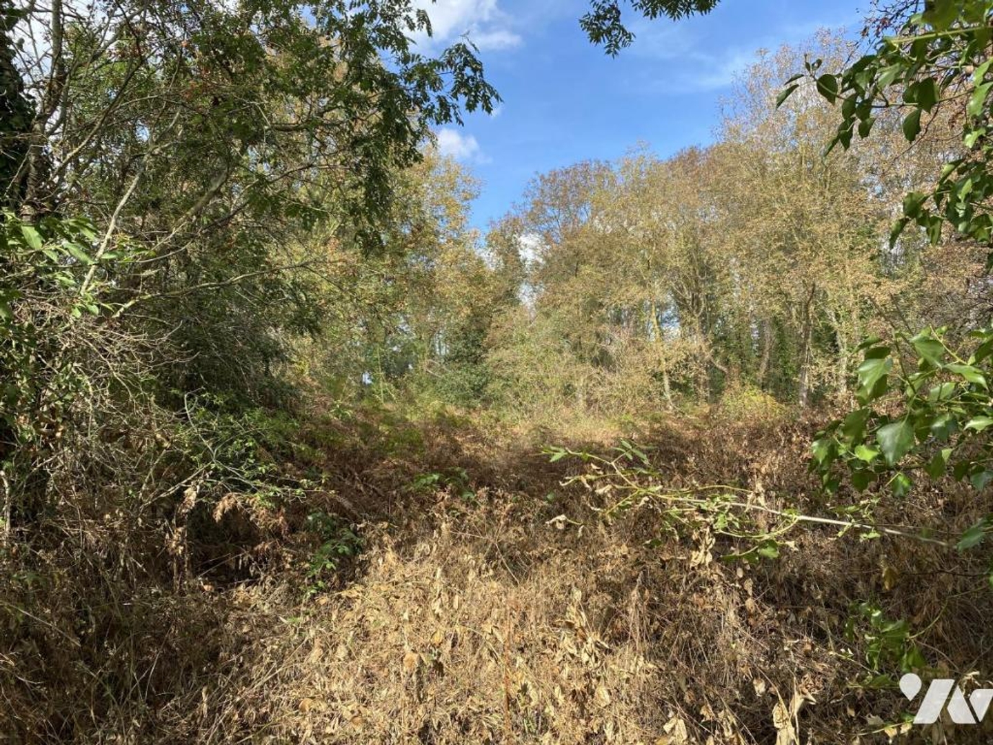 Terrain 17990 m²