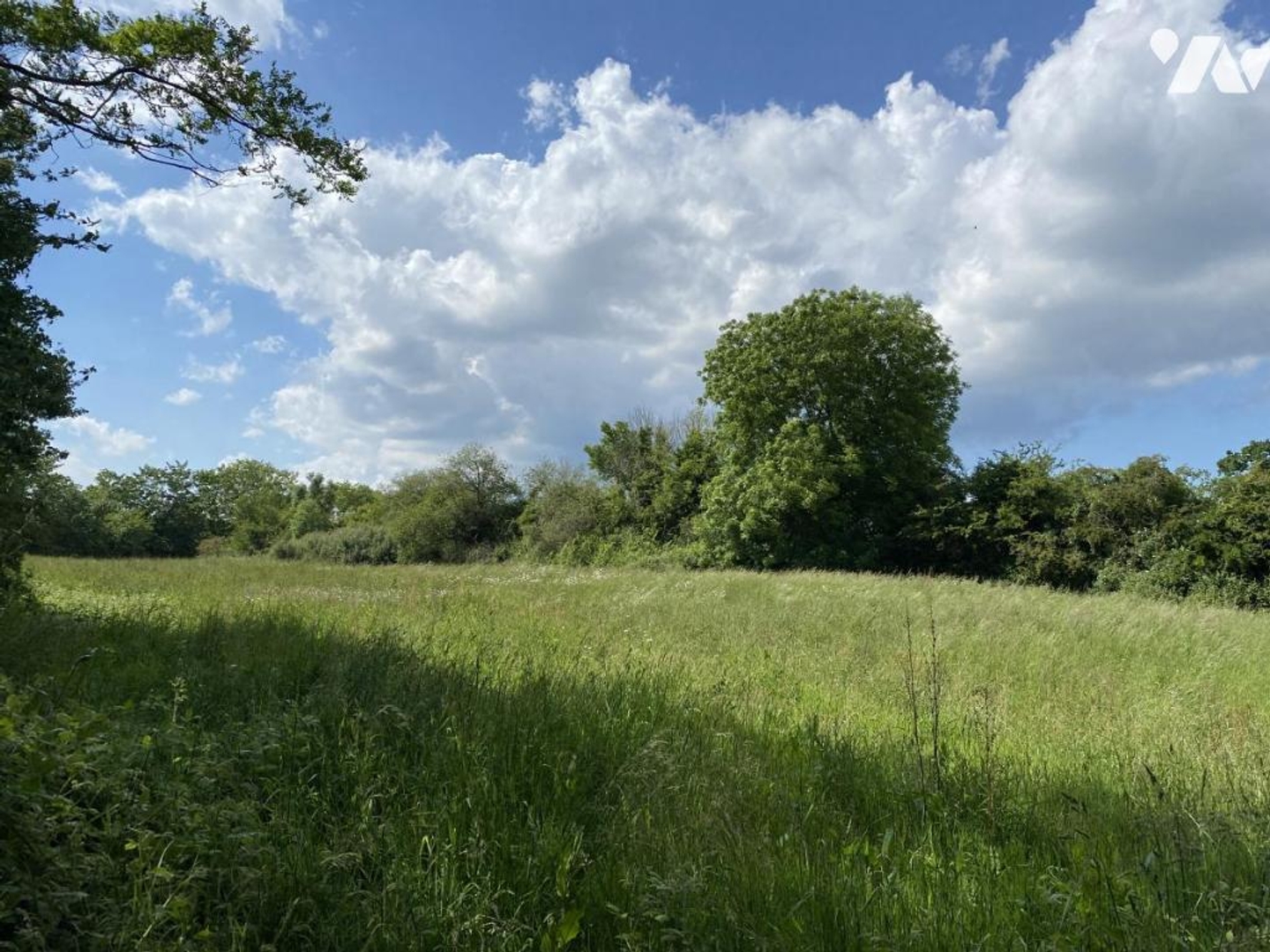Terrain à vendre - 17990m2 - Monts-En-Bessin (14310)