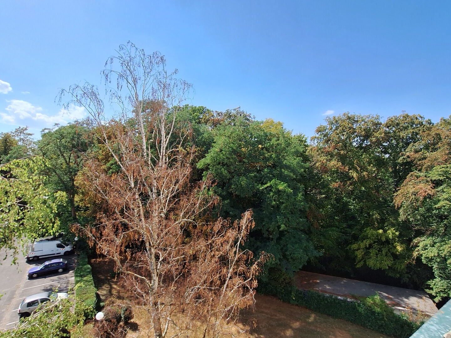 Appartement Nantes 3 pièces 54 m2