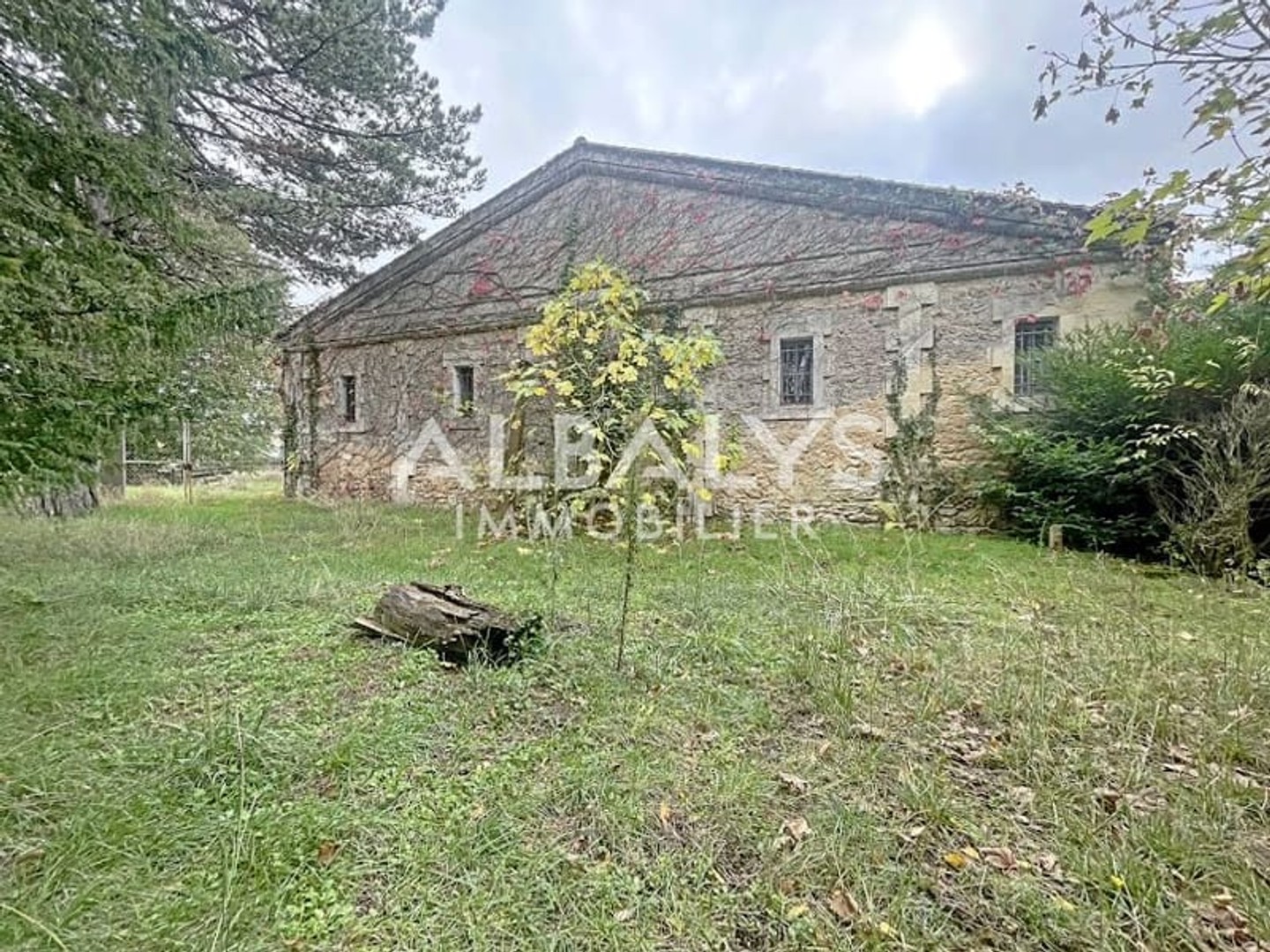 Local 1 pièce 260 m²