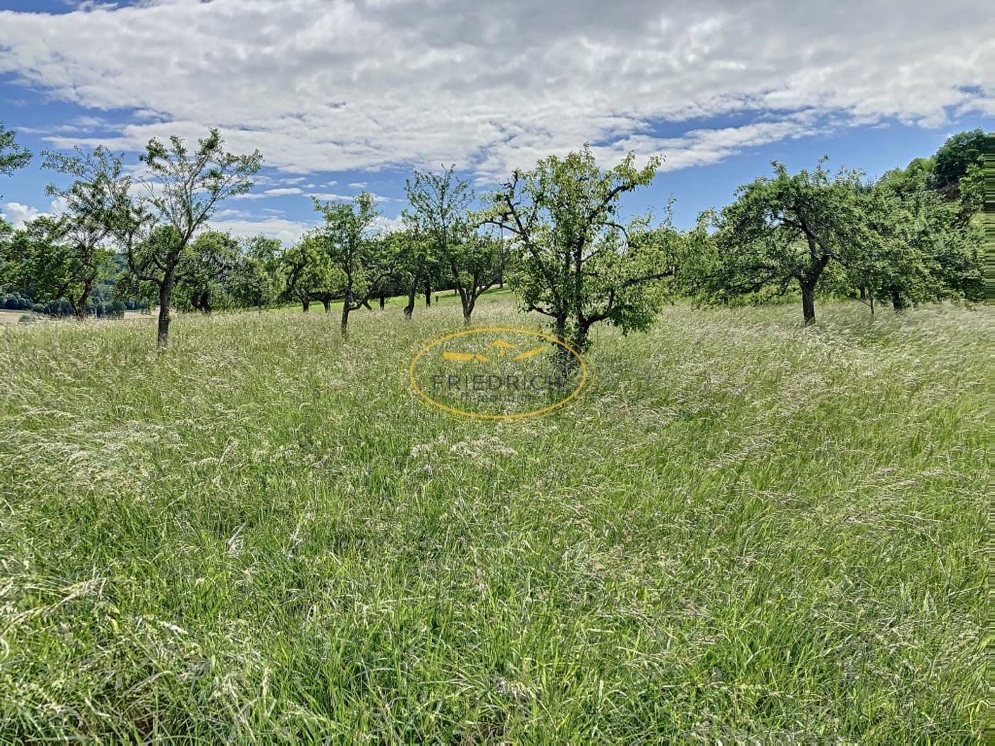 Terrain à vendre - 3010m2 - Saint-Julien-Sous... (55200)