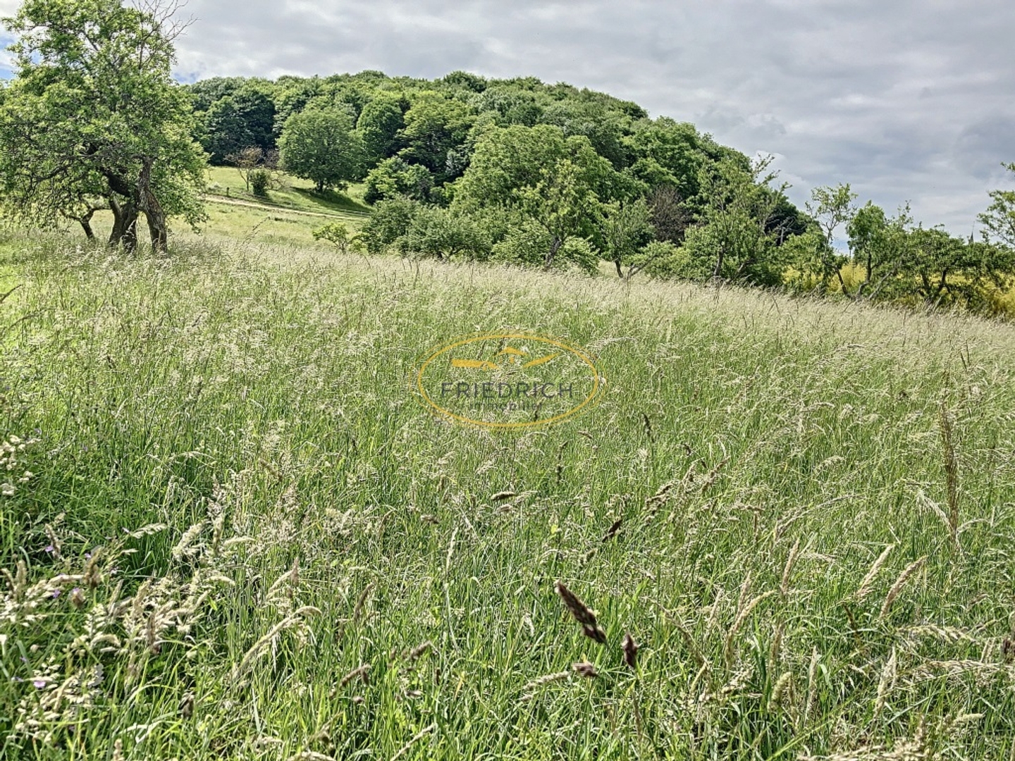 Terrain à vendre - 3010m2 - Saint-Julien-Sous... (55200)