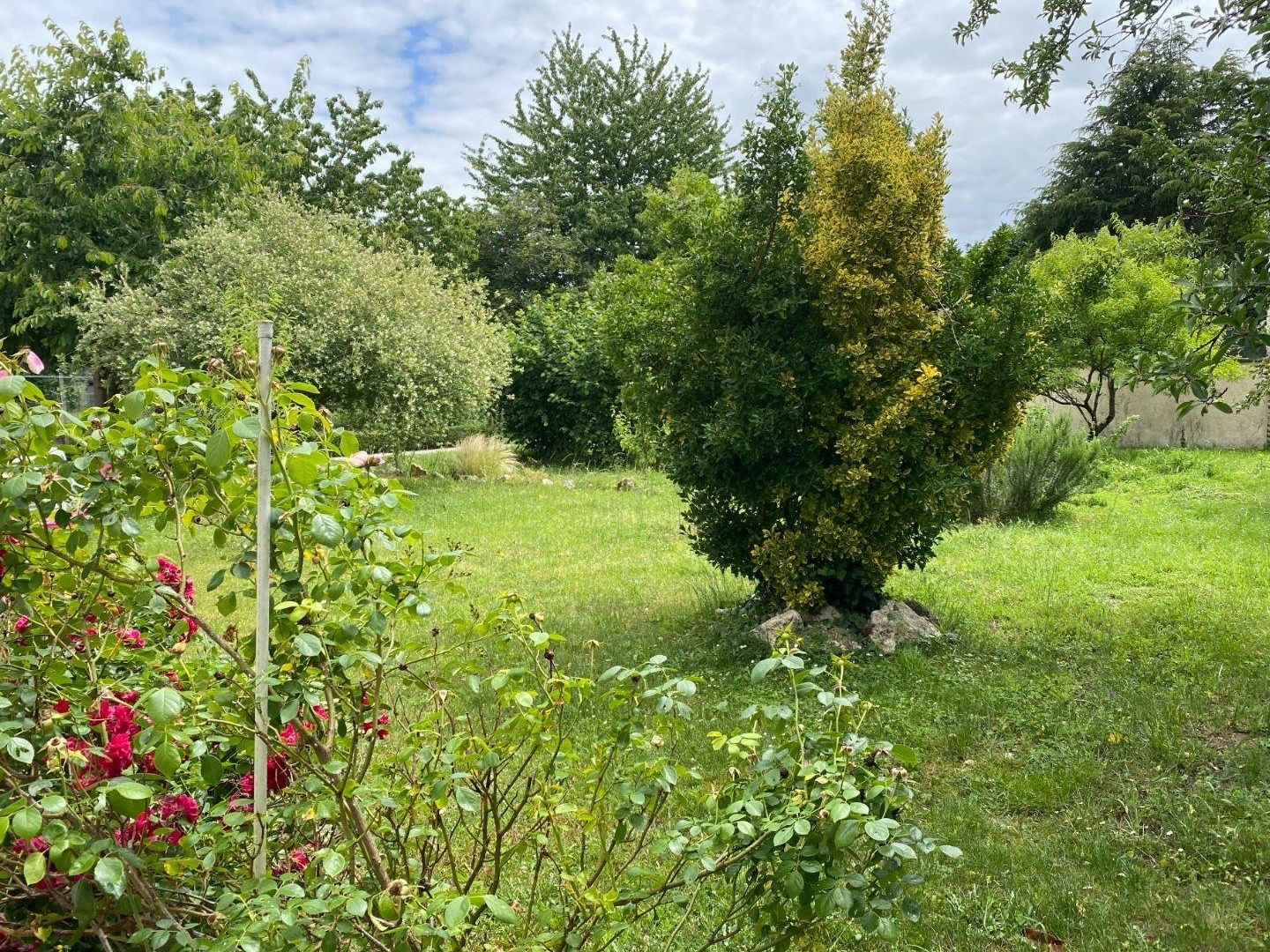 Maison à vendre - 3 pièces - 62m2 - Azay-Le-Ferron (36290)