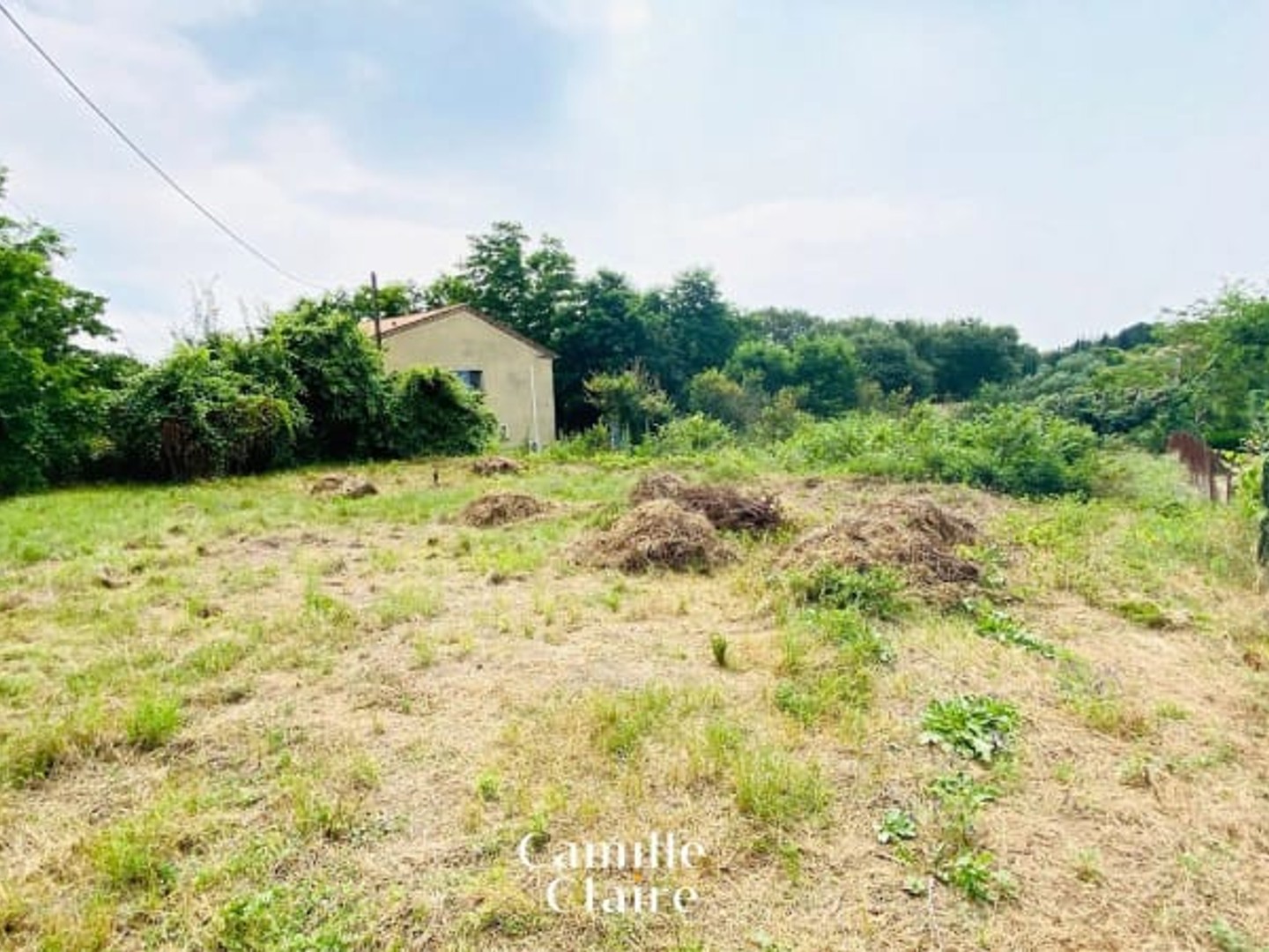 Terrain 1000 m²