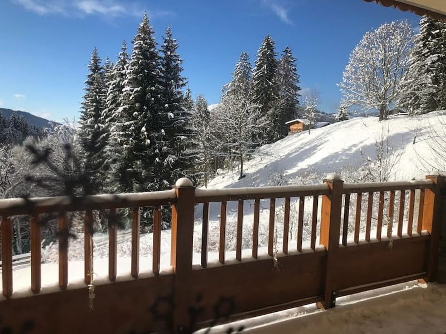 Appartement 3 pièces 53 m²