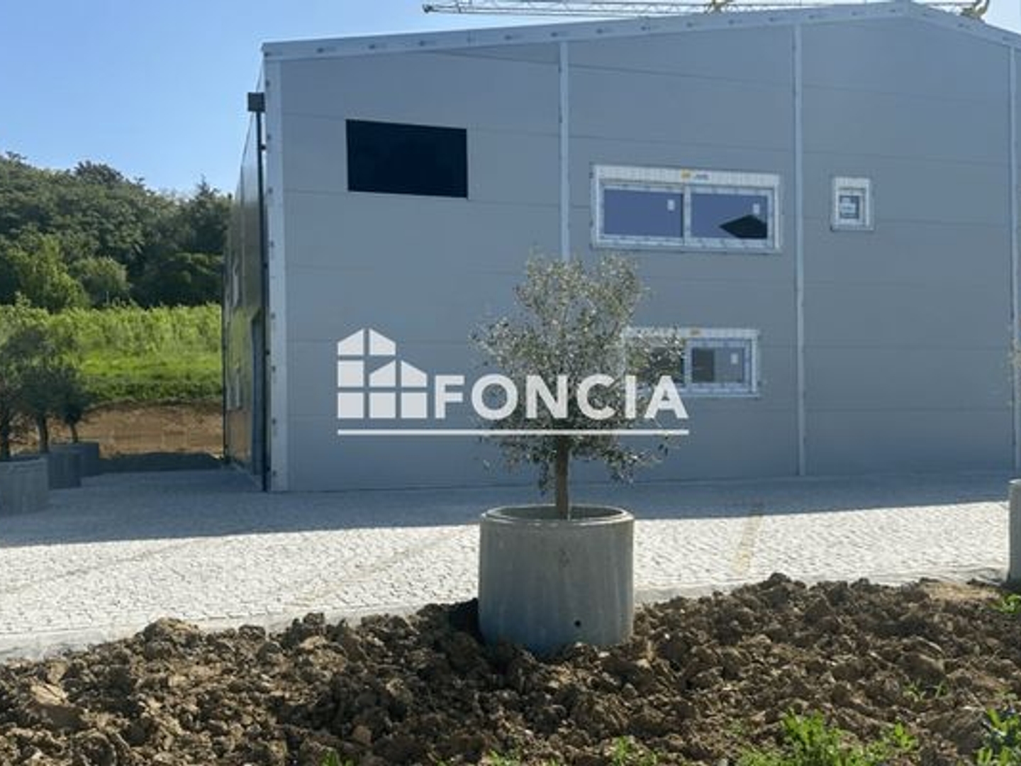 Locaux à vendre - 486m2 - Grisolles (82170)