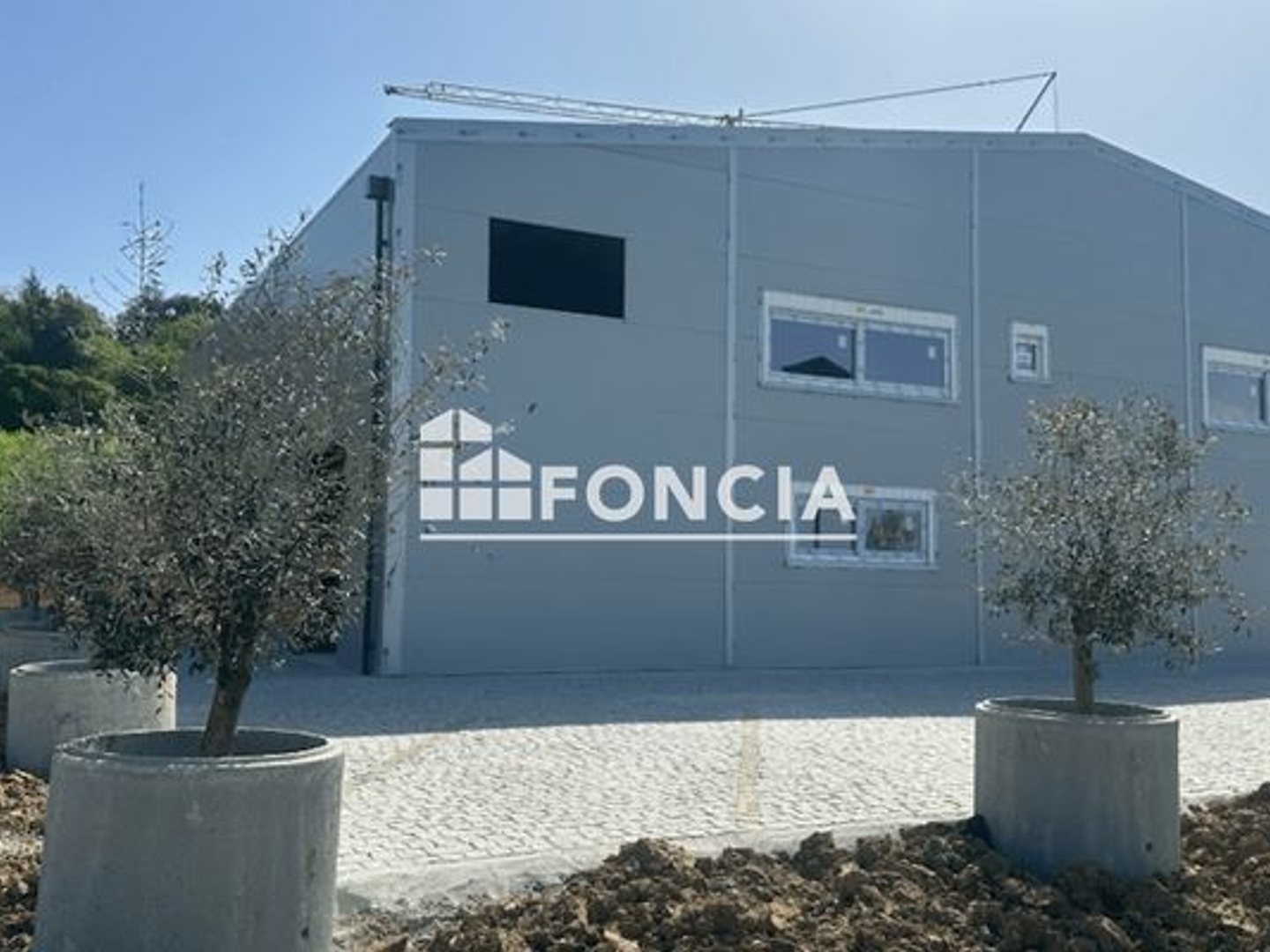 Locaux à vendre - 486m2 - Grisolles (82170)