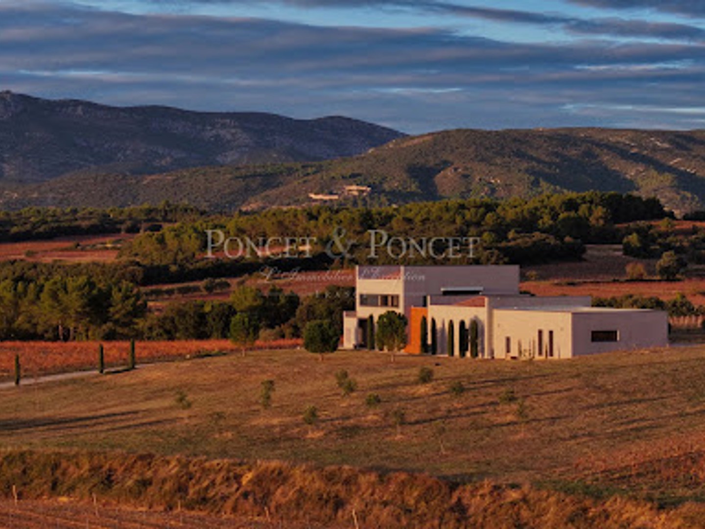 Vignoble 150000 m²