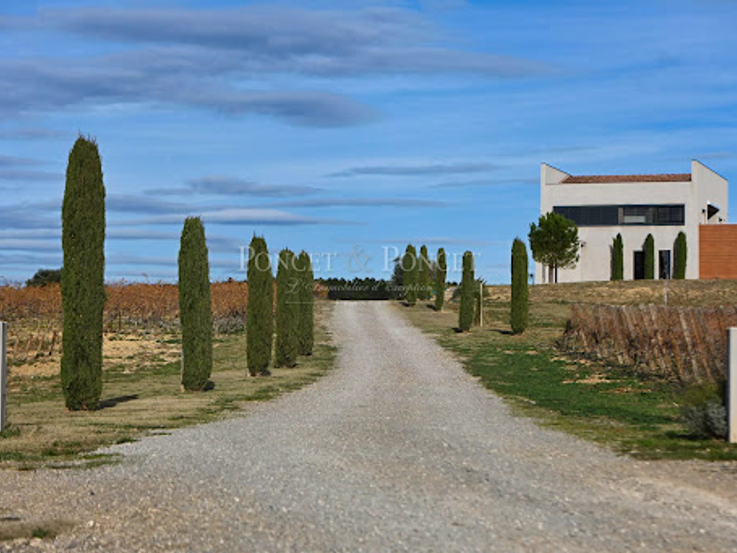 Terrain à vendre - 150000m2 - Montpeyroux (34150)