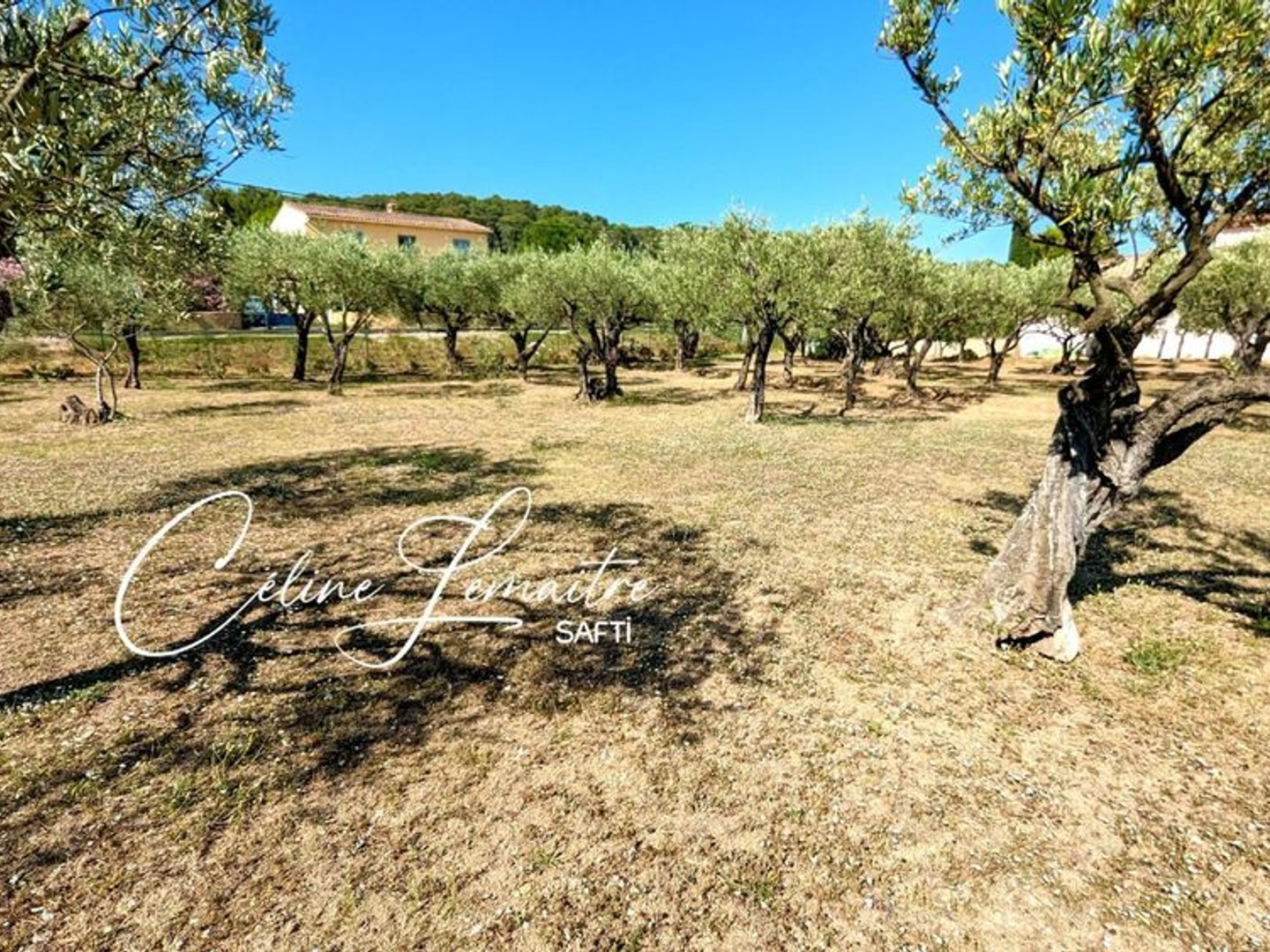 magnifique terrain à bâtir plat