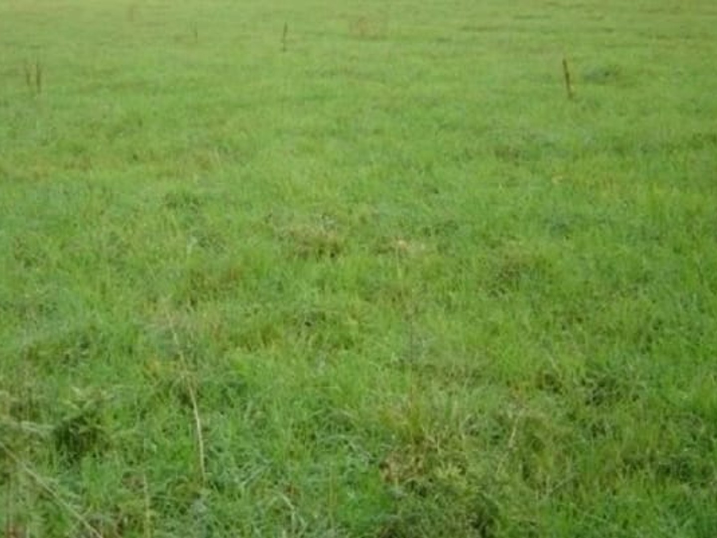 Maison 5 pièces 89 m²