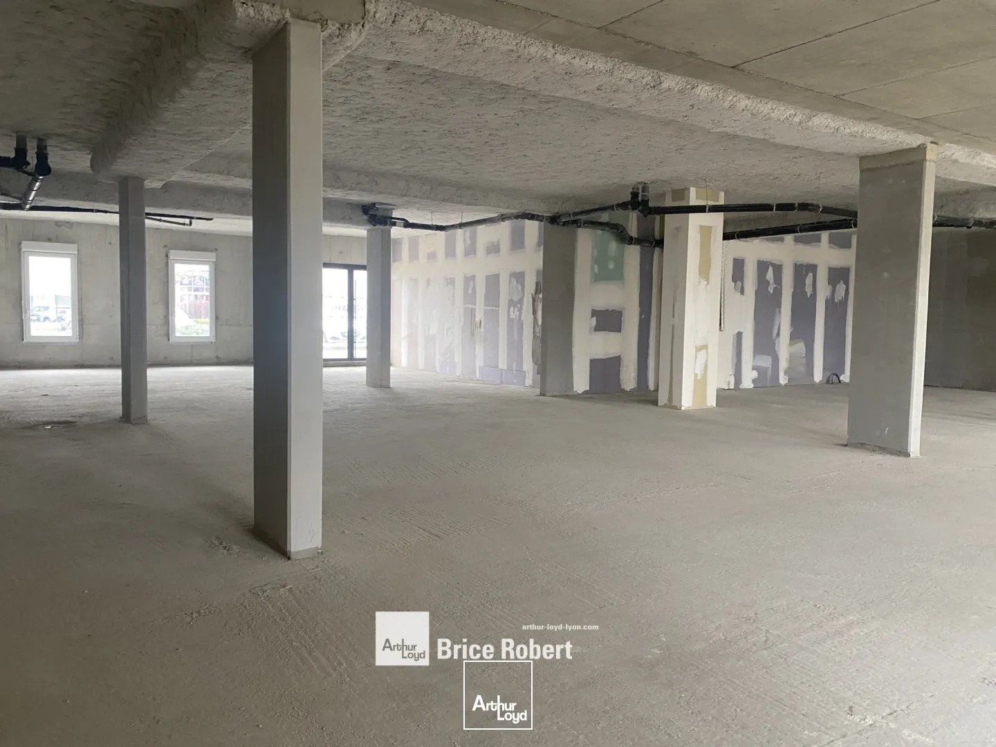 Locaux à vendre - 288m2 - Brignais (69530)