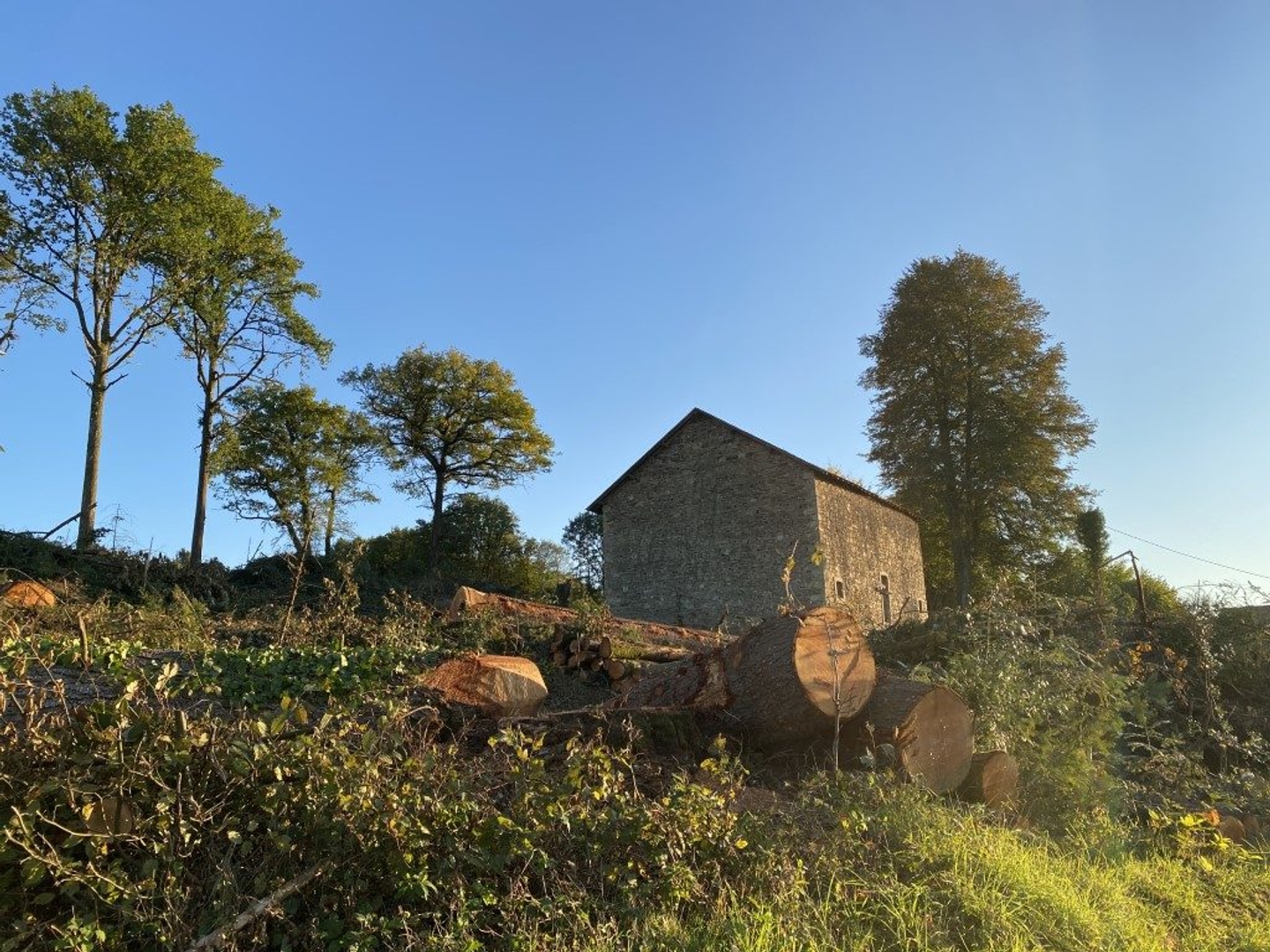 Maison à vendre - Châteauneuf-La-Forêt (87130)