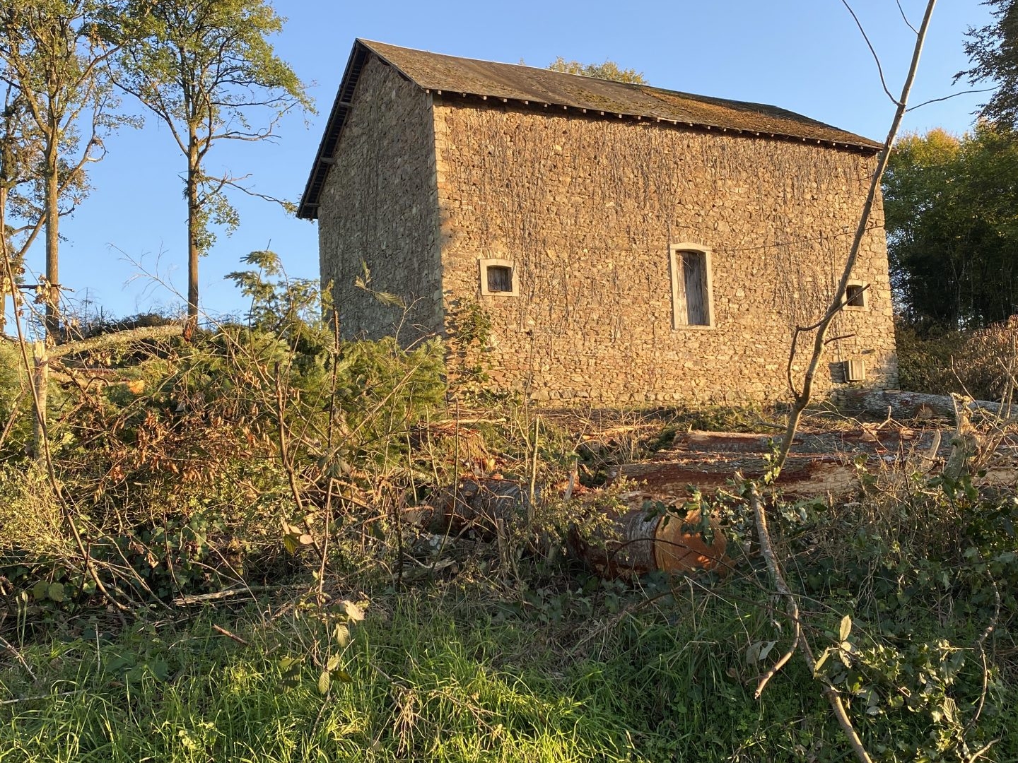Maison à vendre - Châteauneuf-La-Forêt (87130)