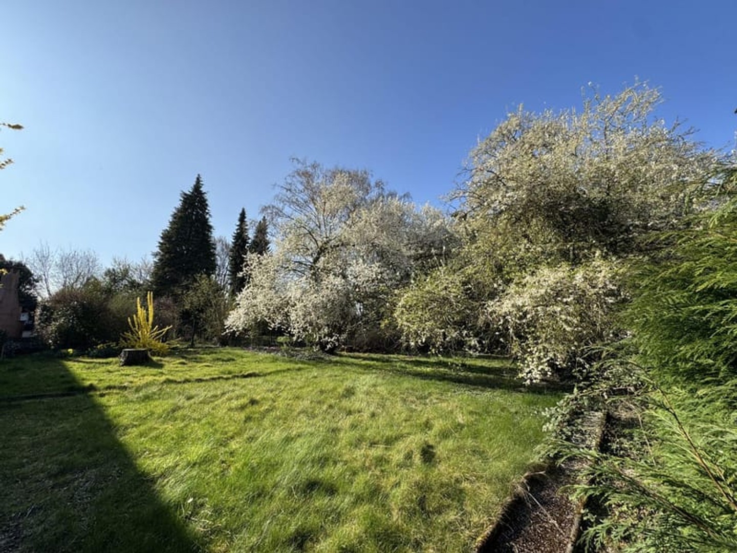 Terrain 574 m²