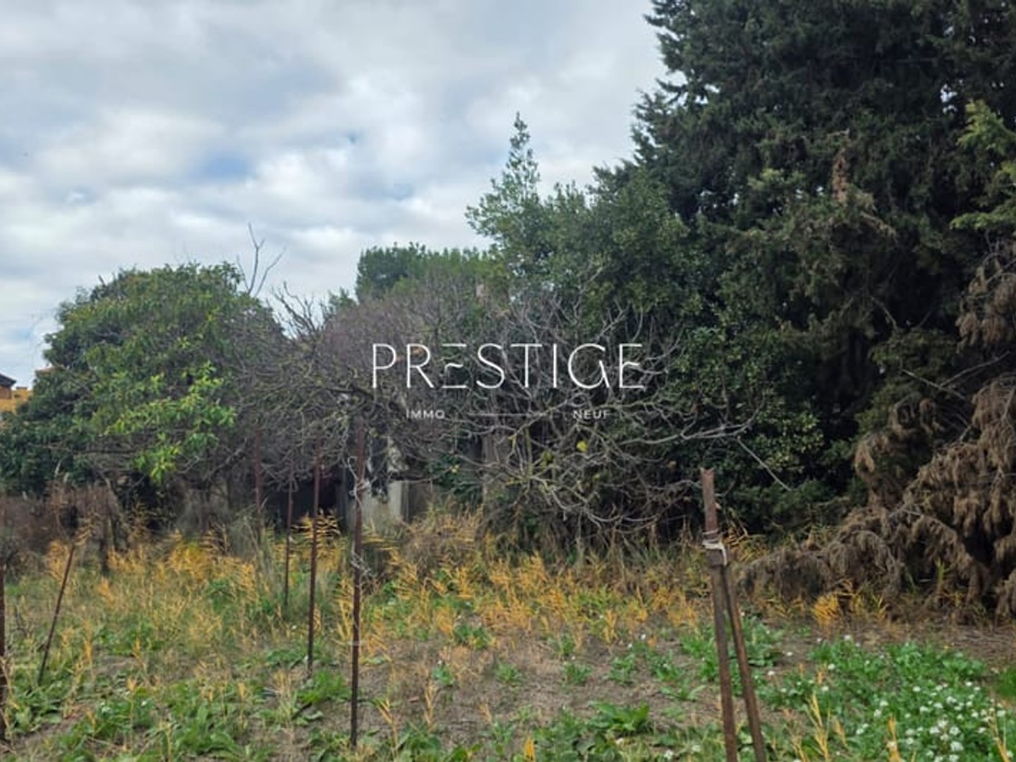 TERRAINS CONSTRUCTIBLE A LATTES CENTRE