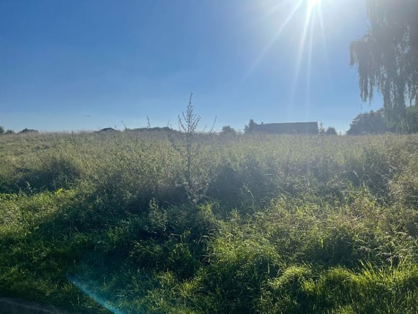 Terrain 369 m²