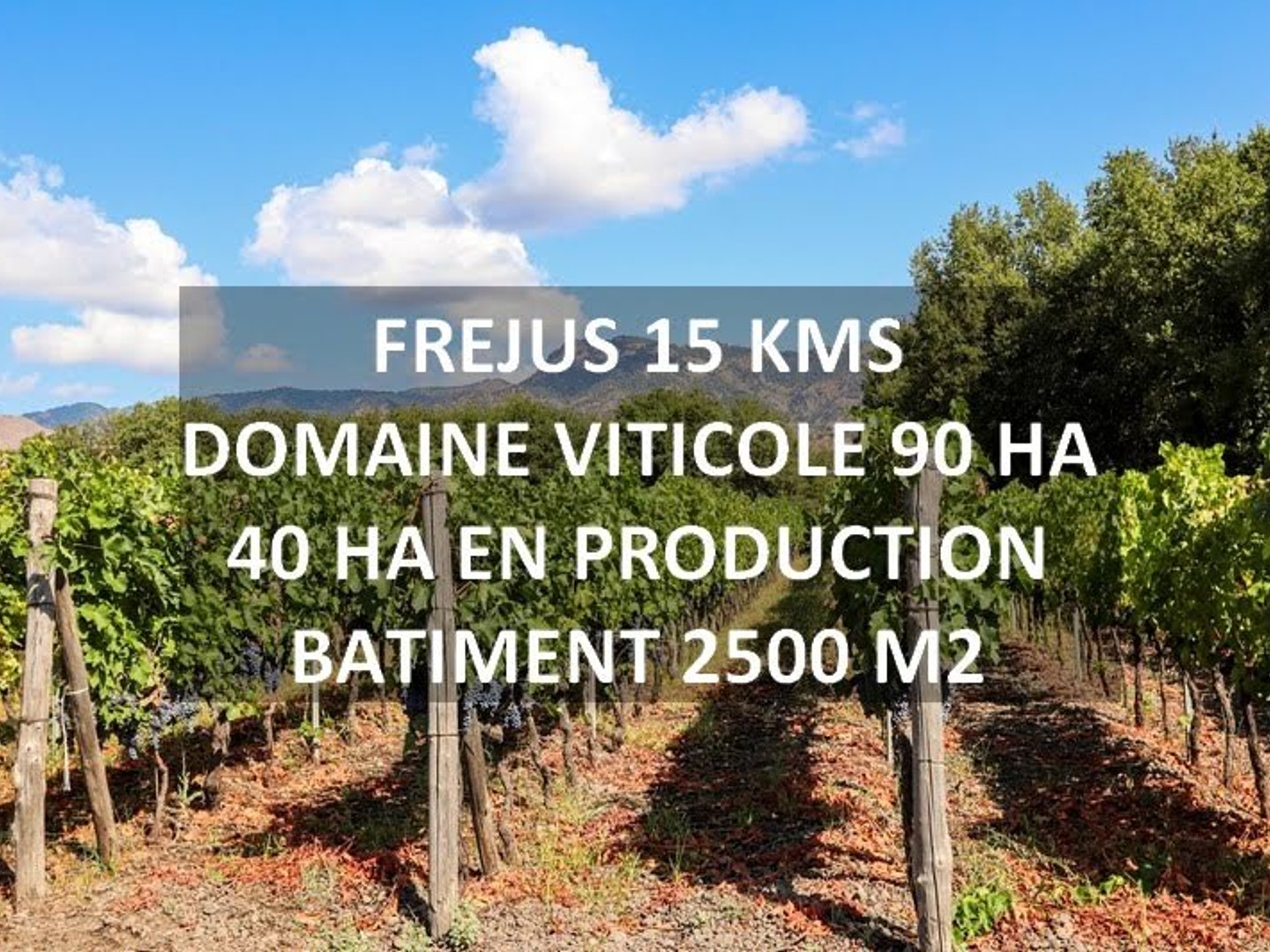 Propriété 10 pièces 2000 m²