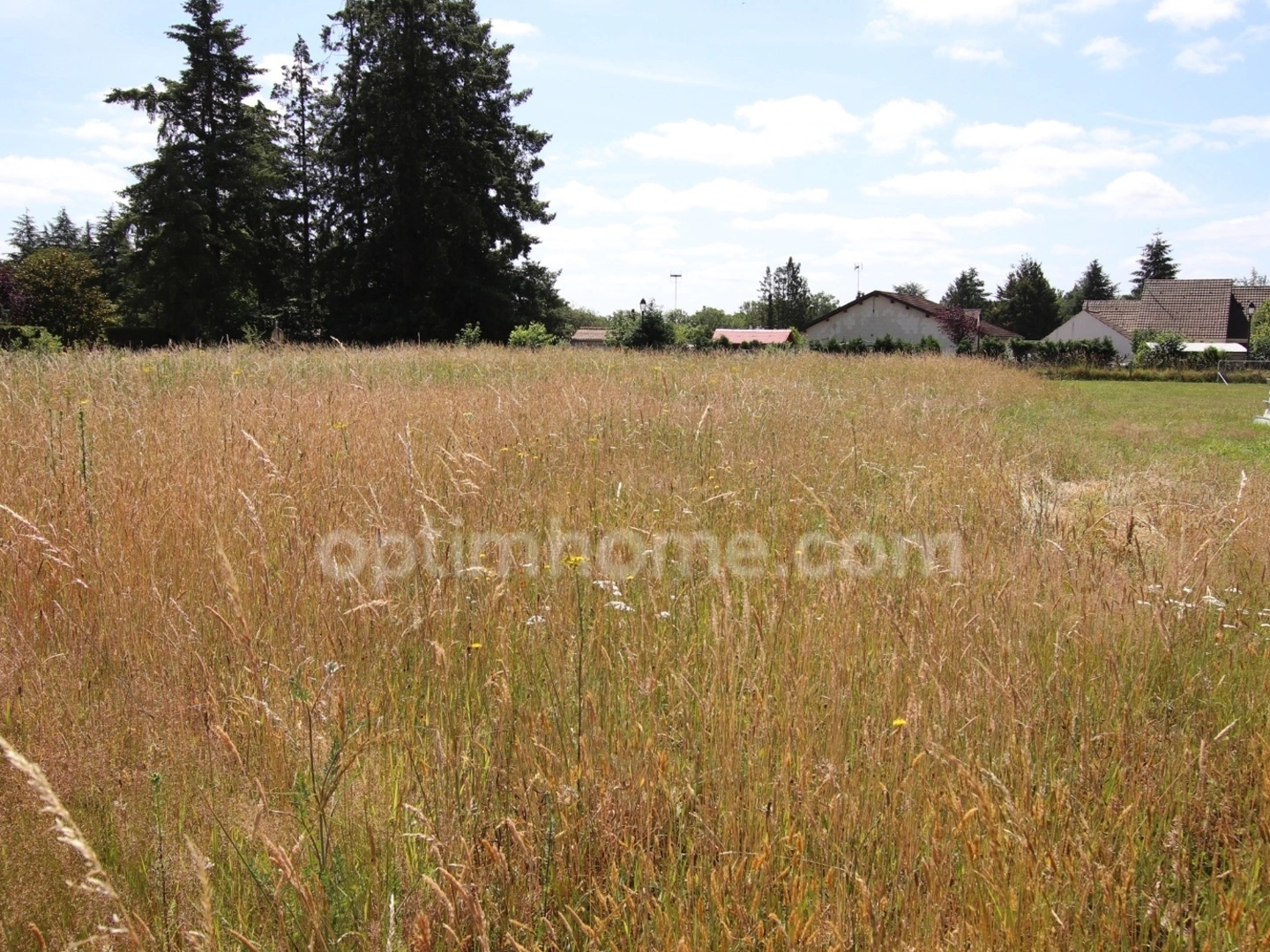 Terrain 3178 m²
